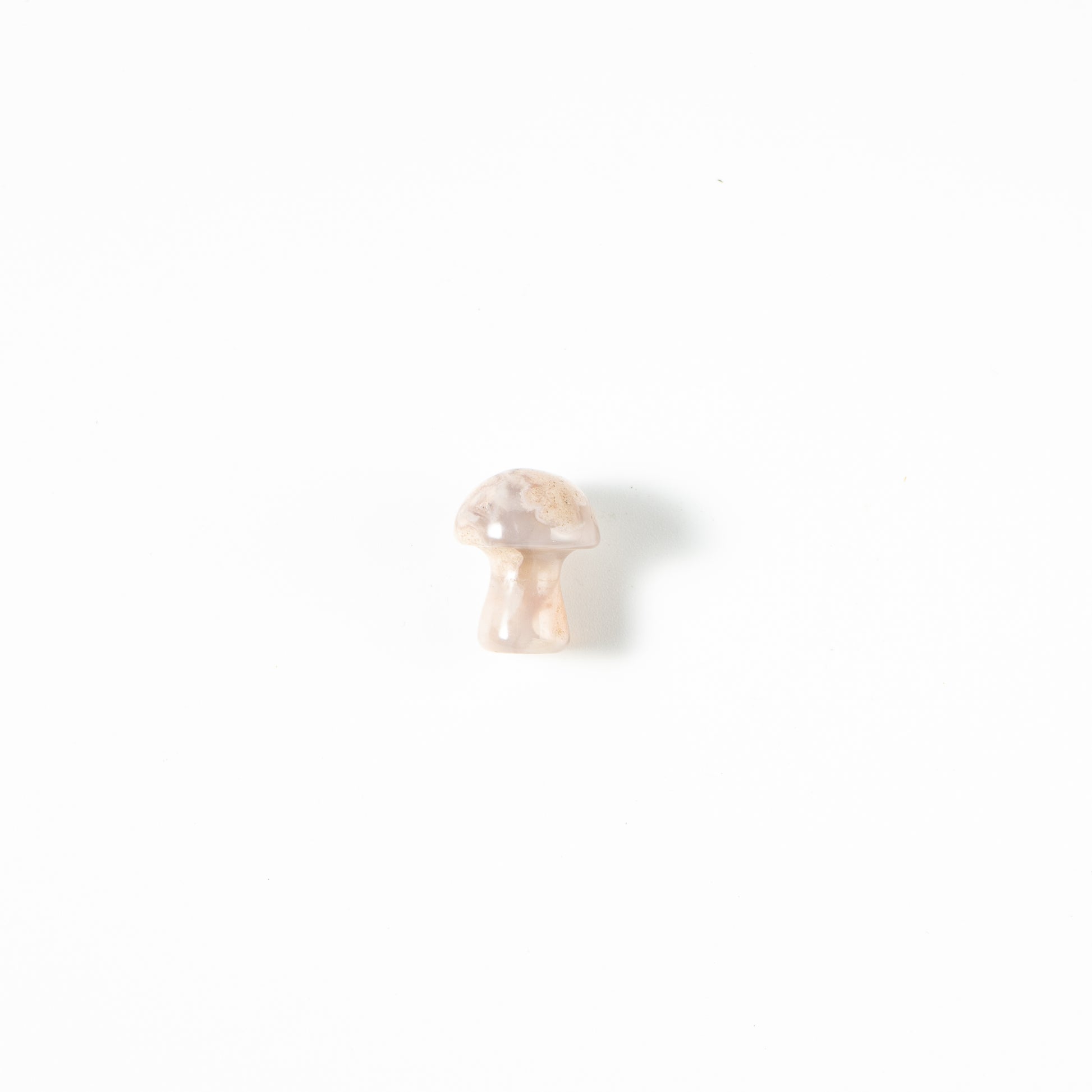 【Craving】- Mushroom