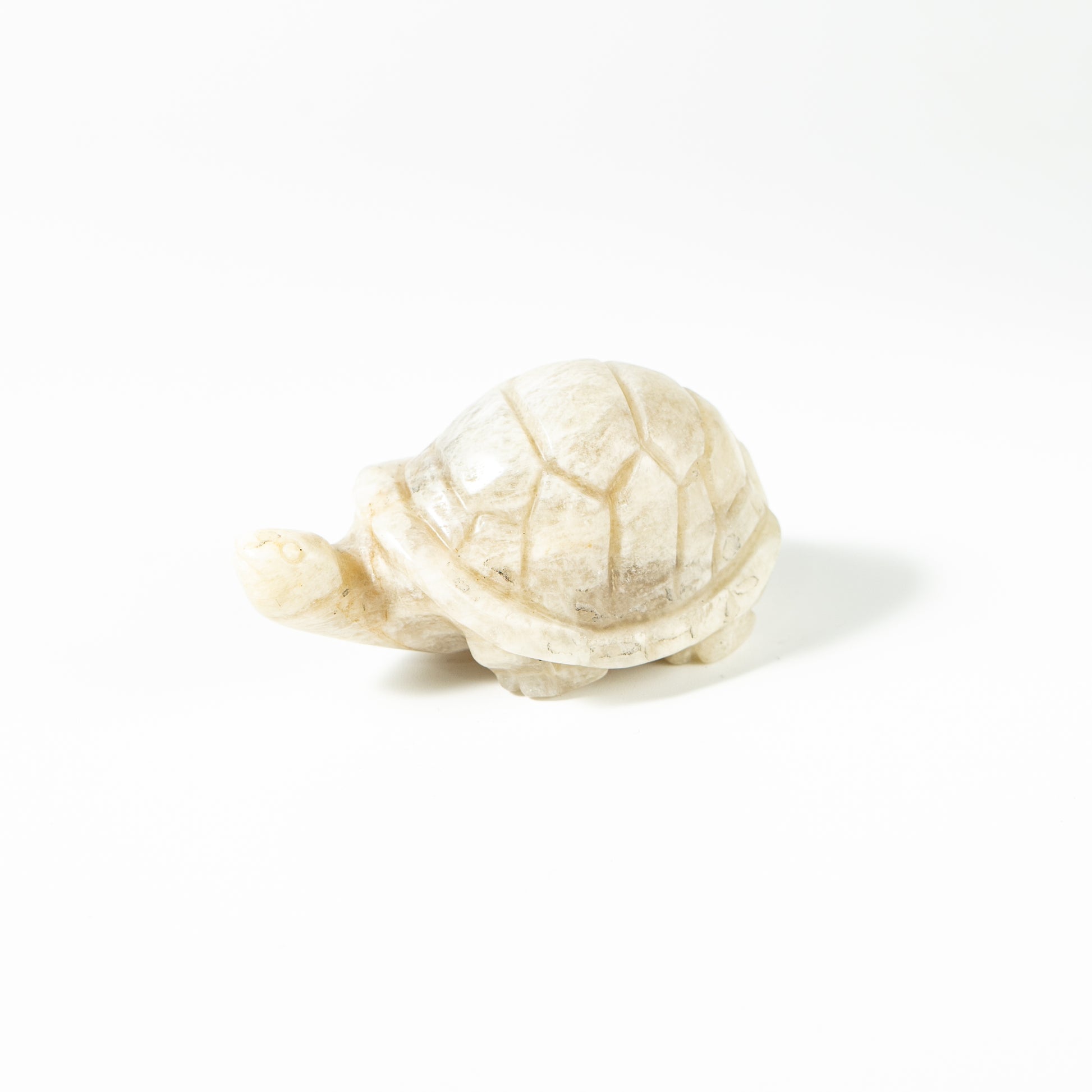 【Craving】- Moonstone Turtle