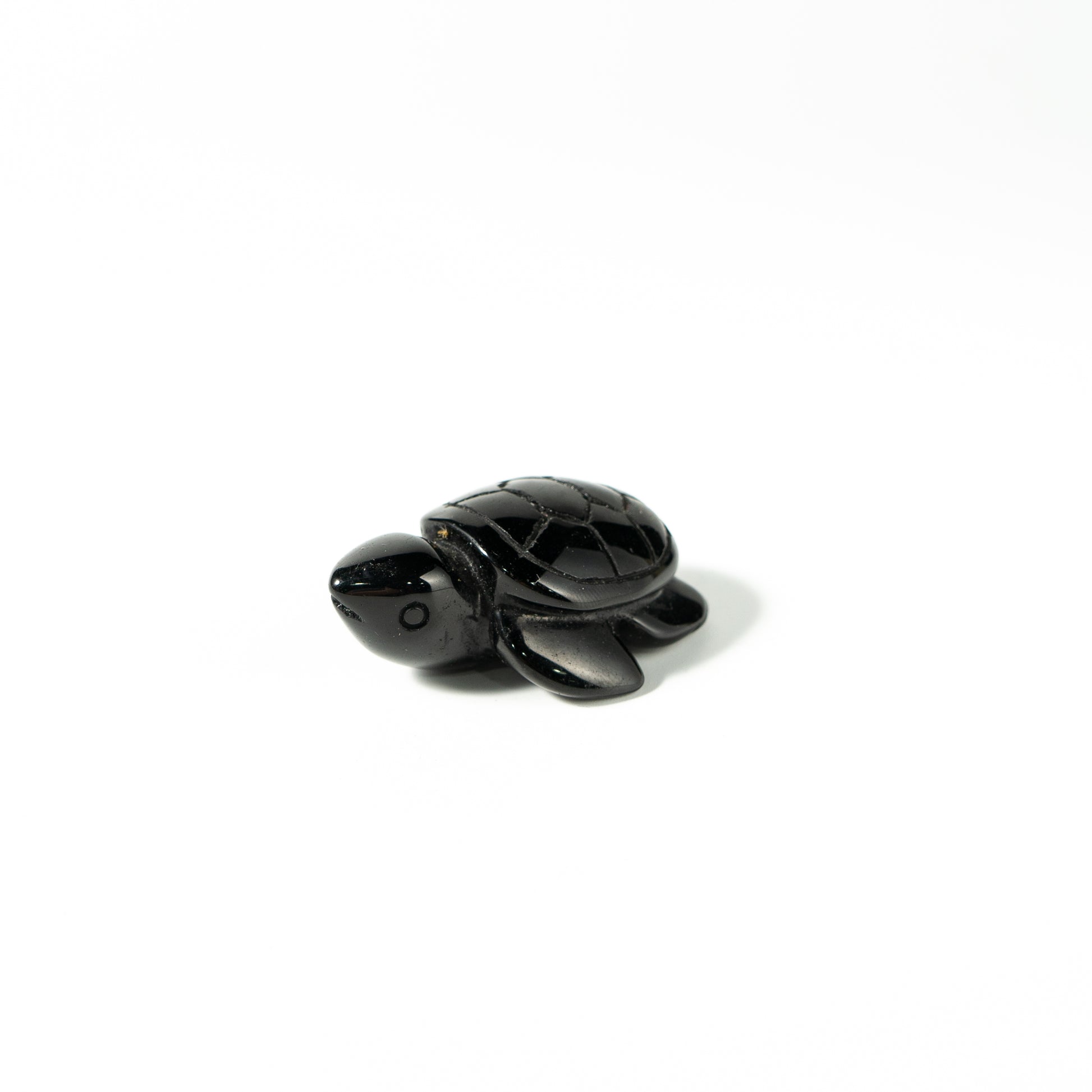【Craving】- Black Obsidion Turtle