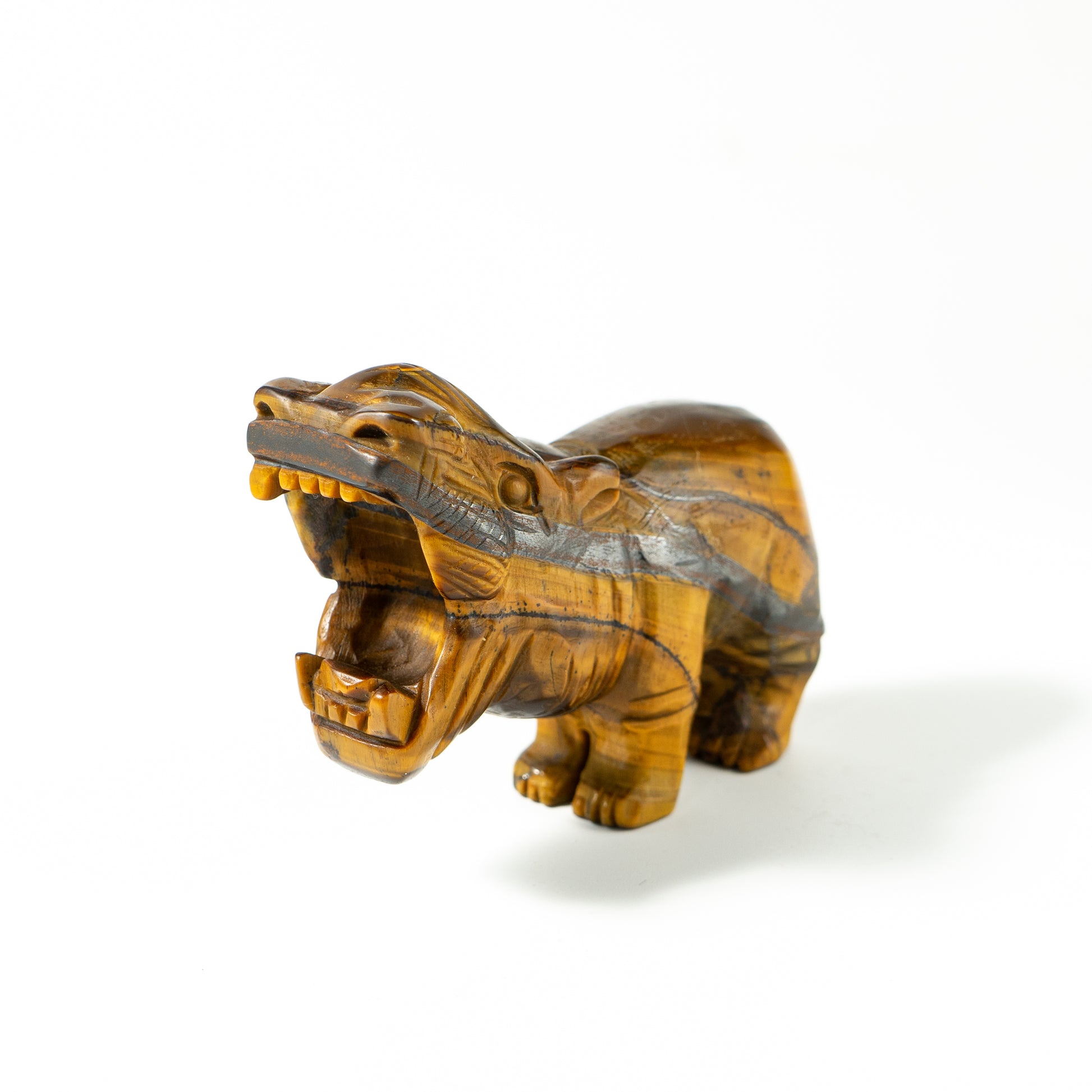【Craving】- Tiger Eye Hippopotamus