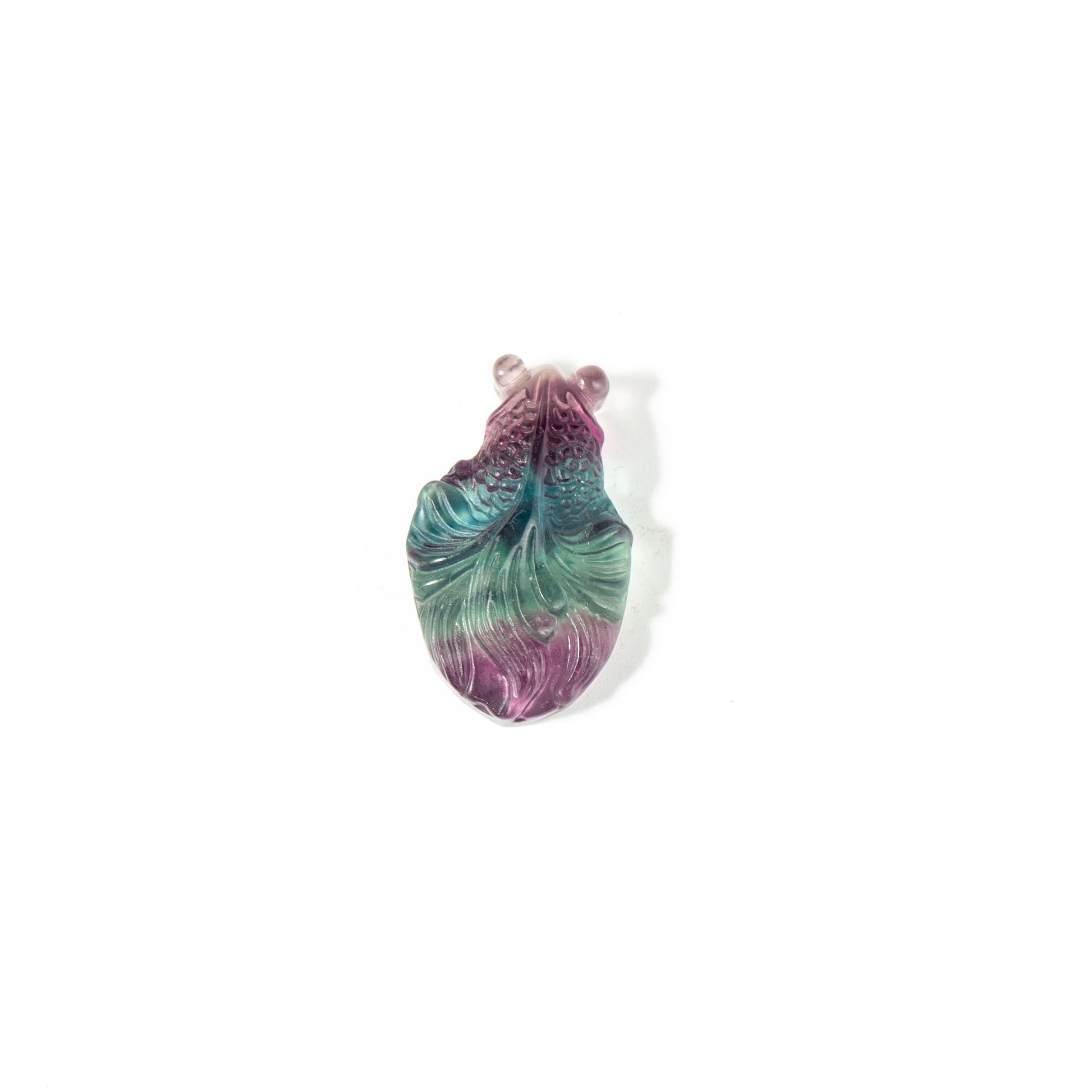 【Craving】- Fluorite Goldfish