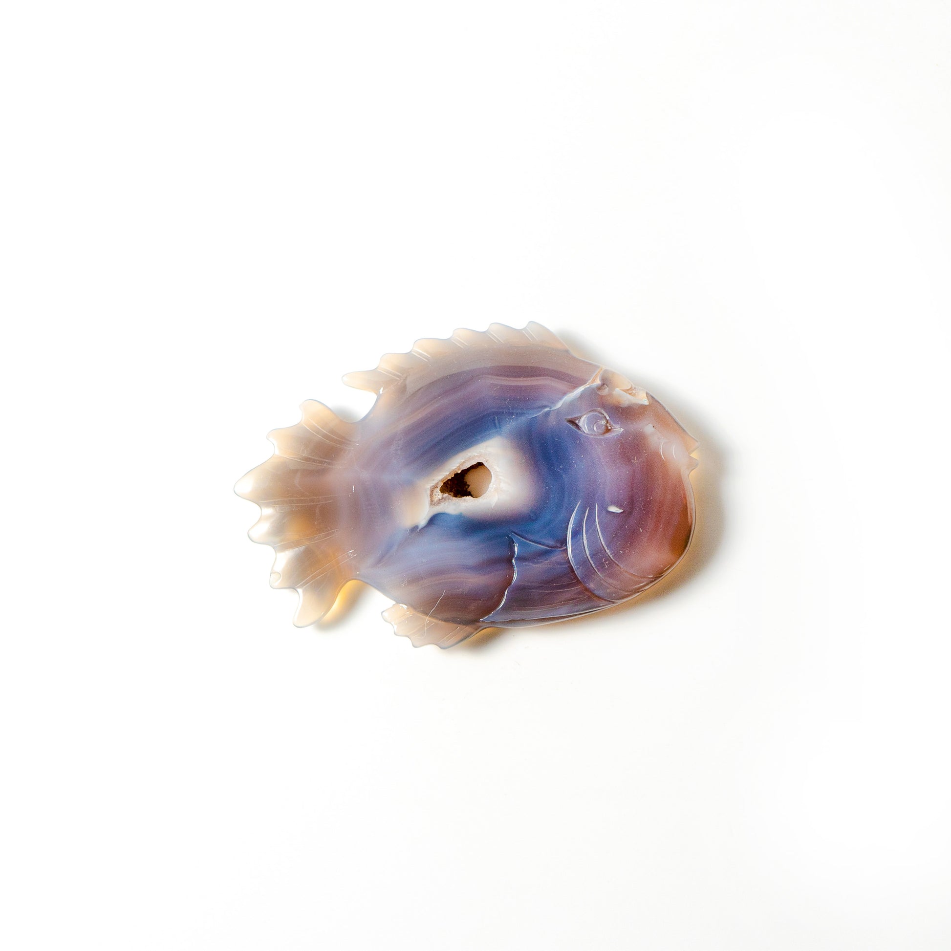 【Craving】- Agate Fish