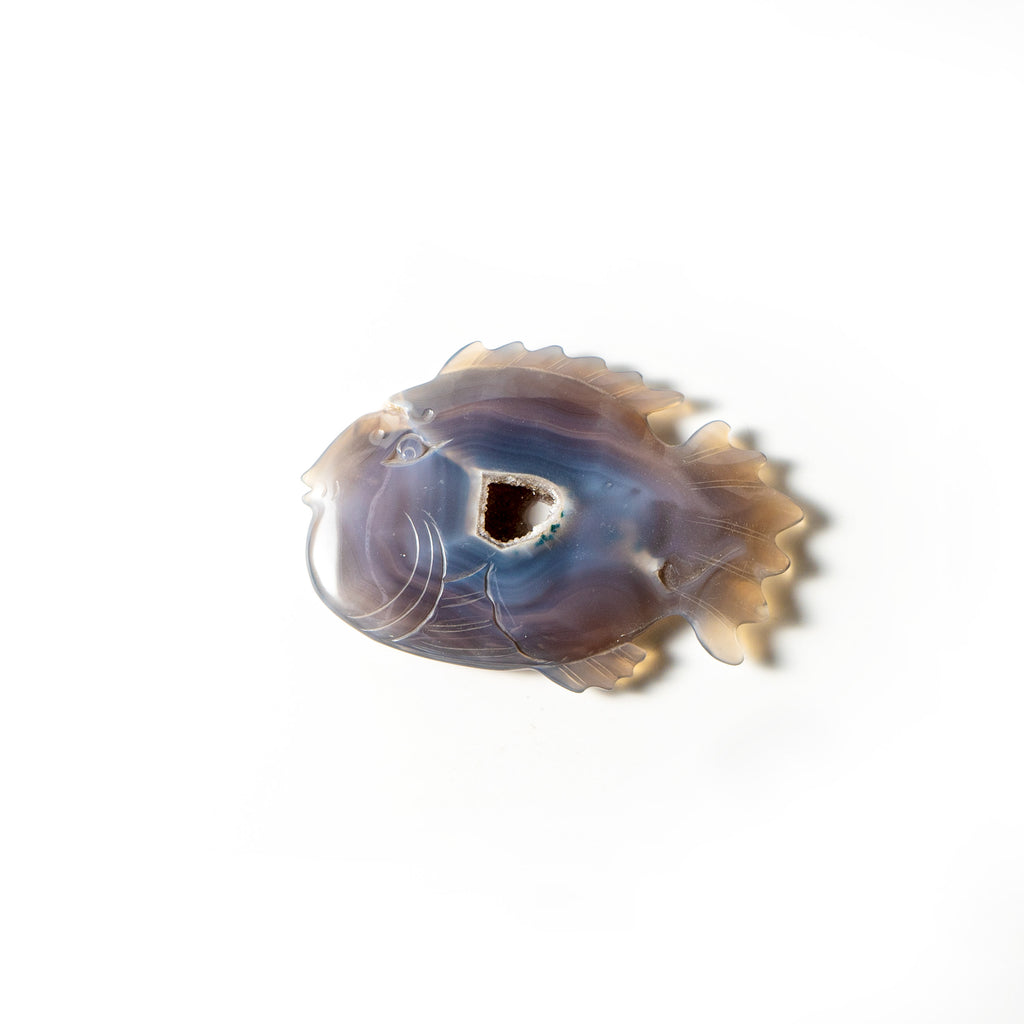 【Craving】- Agate Fish