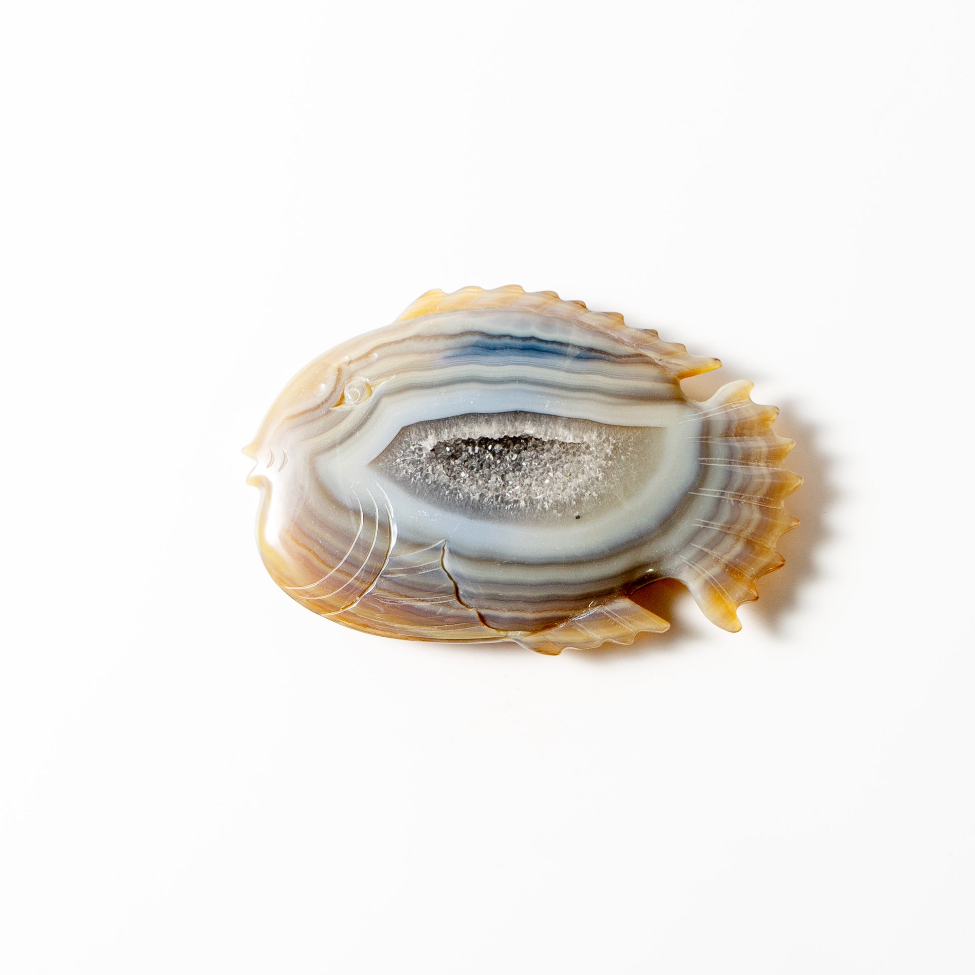 【Craving】- Agate Fish