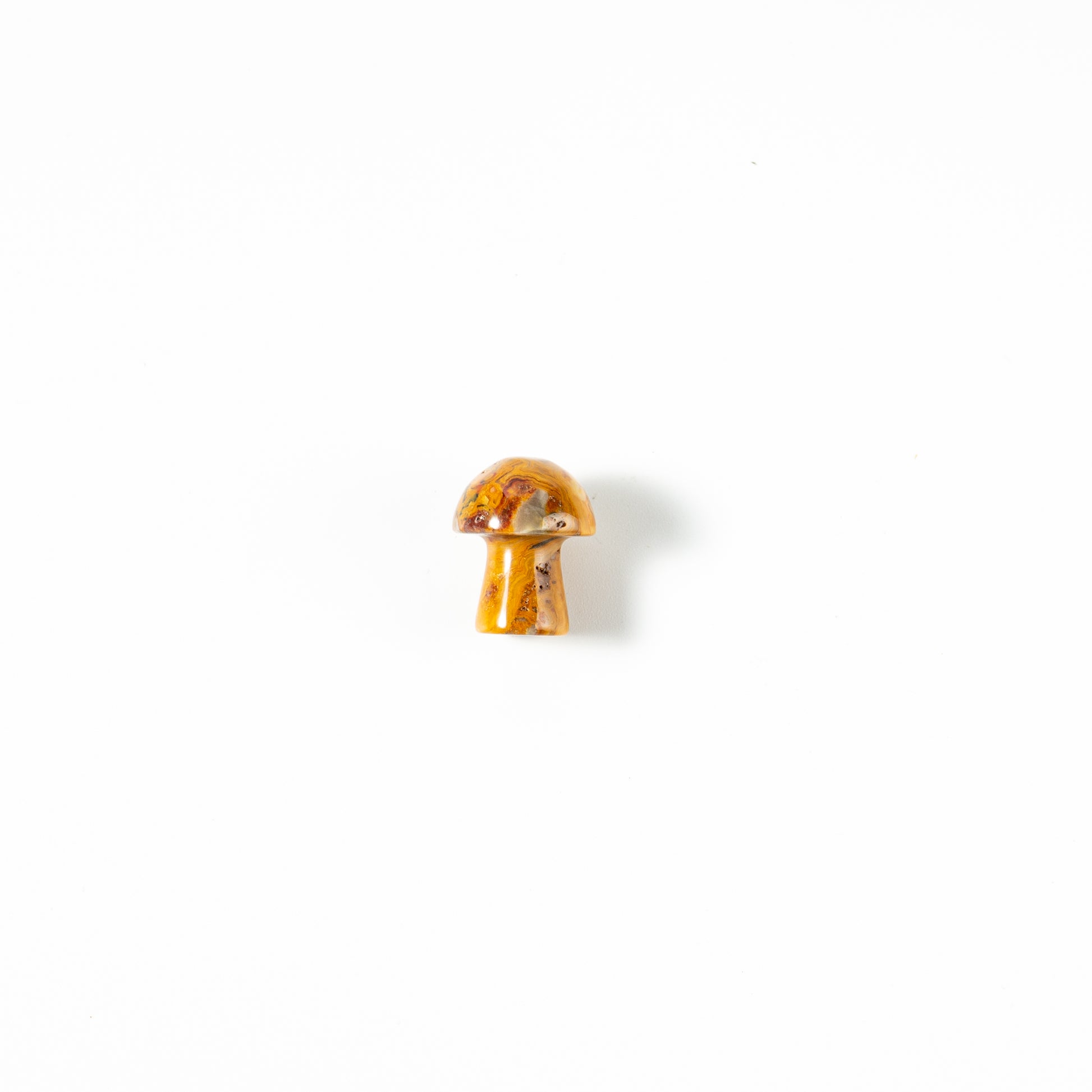【Craving】- Mushroom