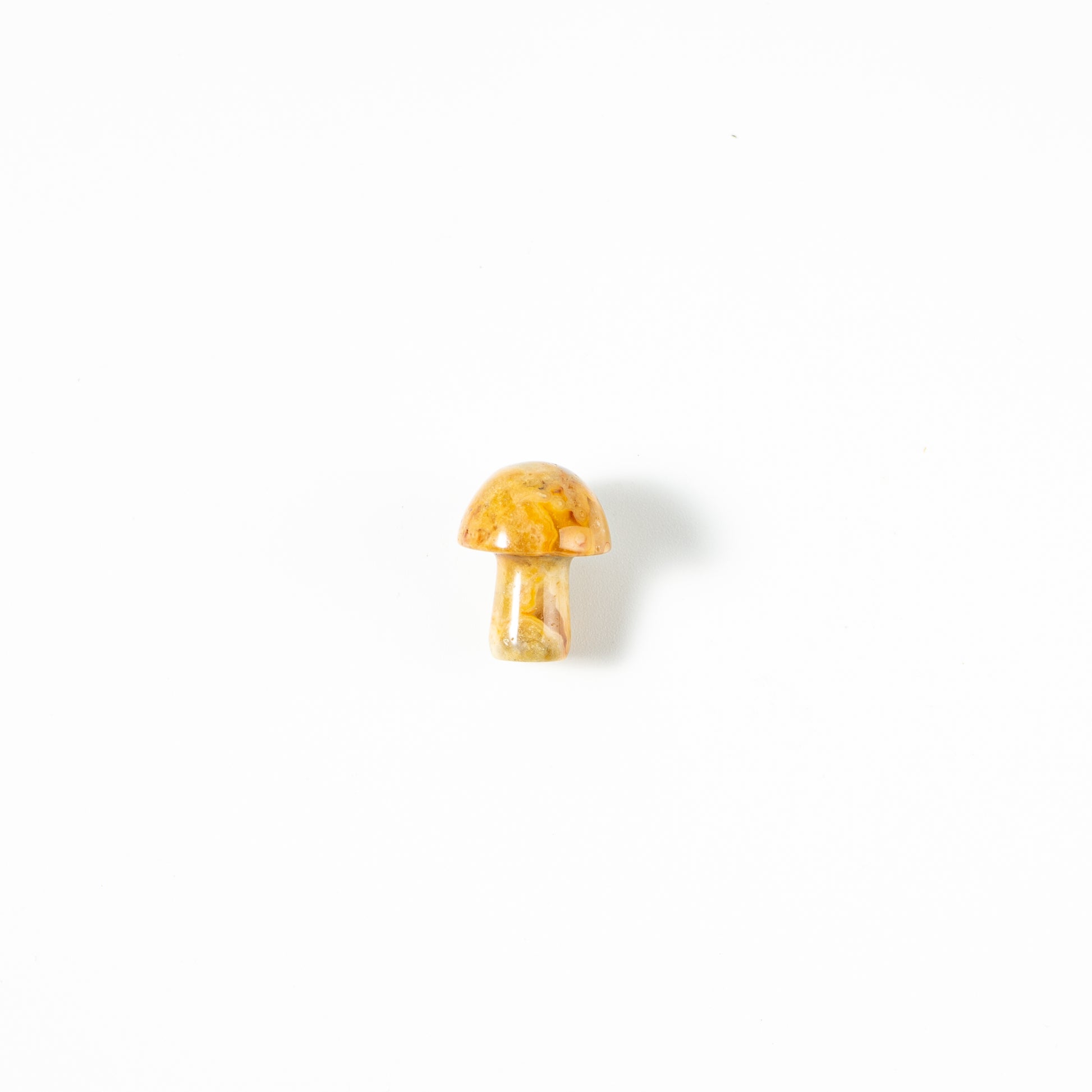 【Craving】- Mushroom