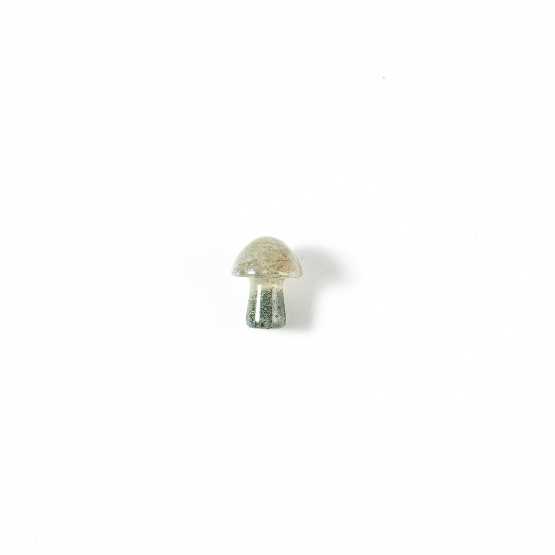 【Craving】- Mushroom