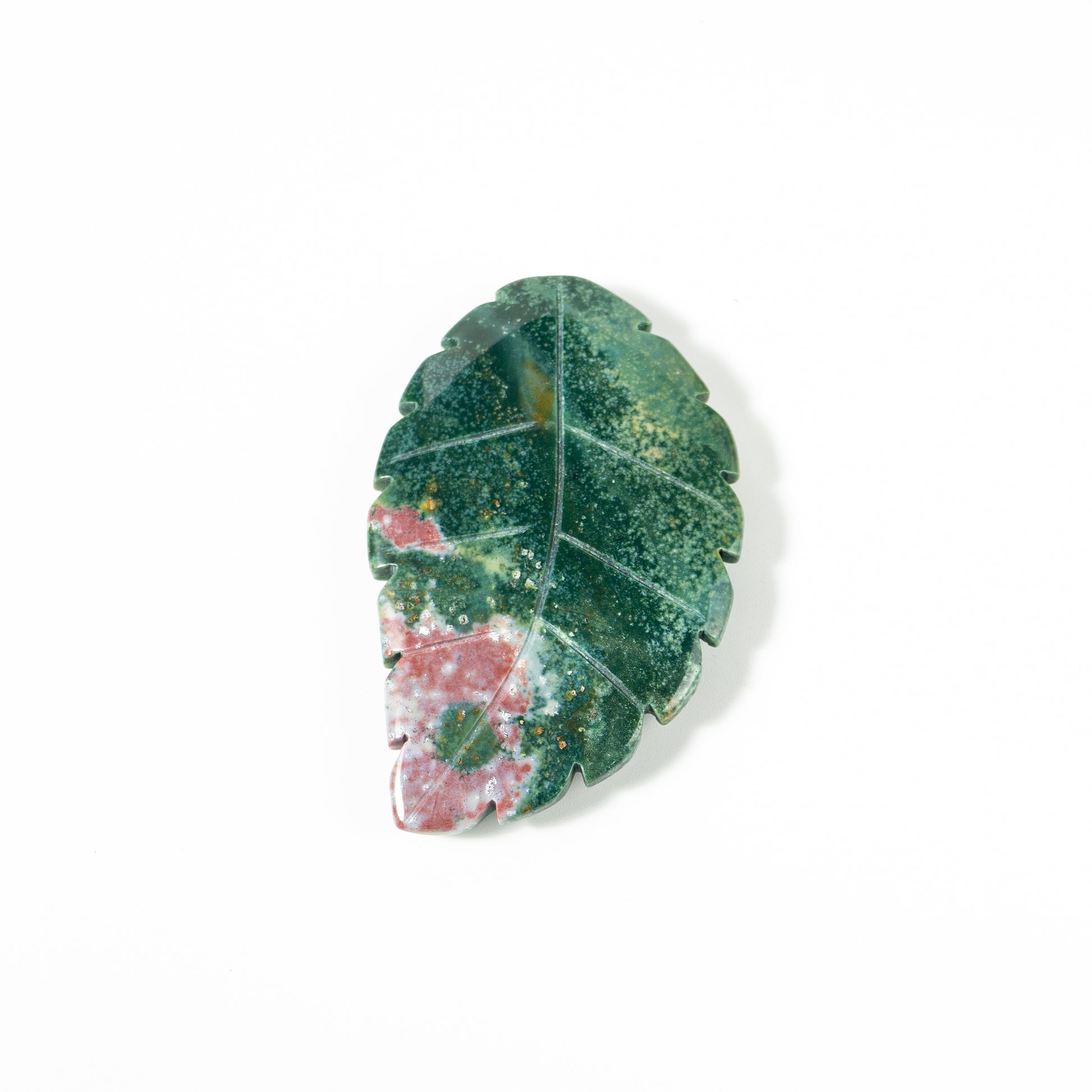 【Craving】- Leaf