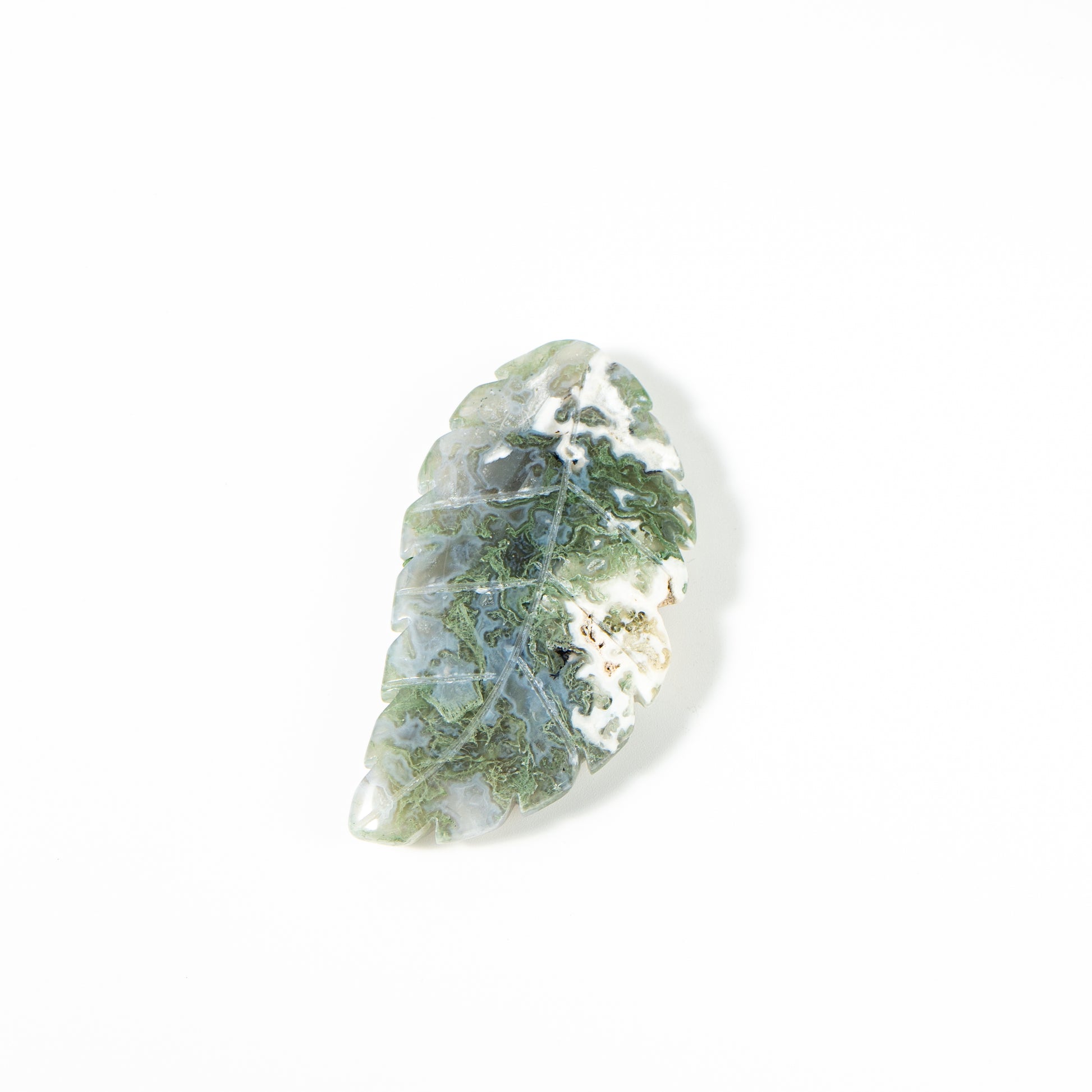 【Craving】- Leaf