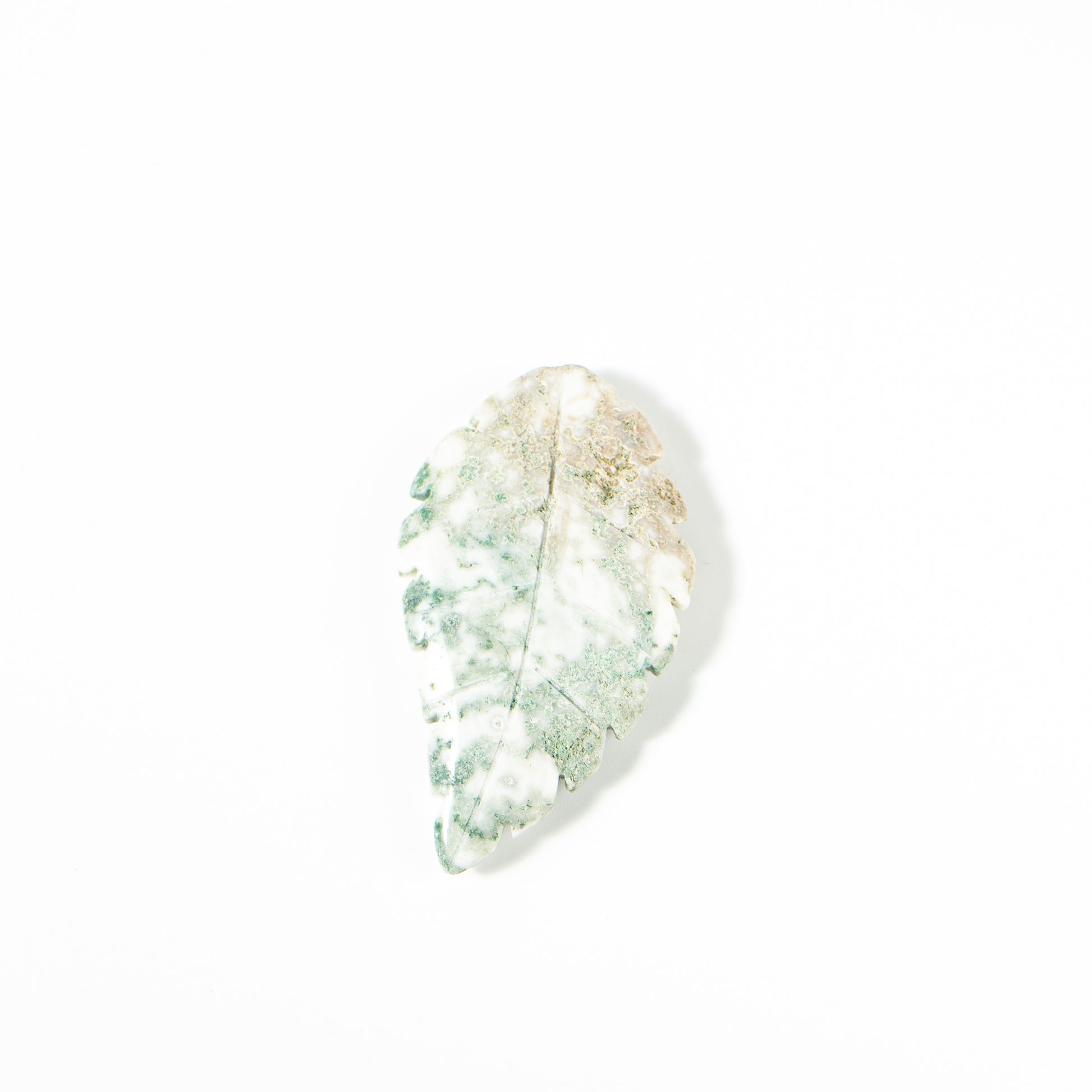 【Craving】- Leaf