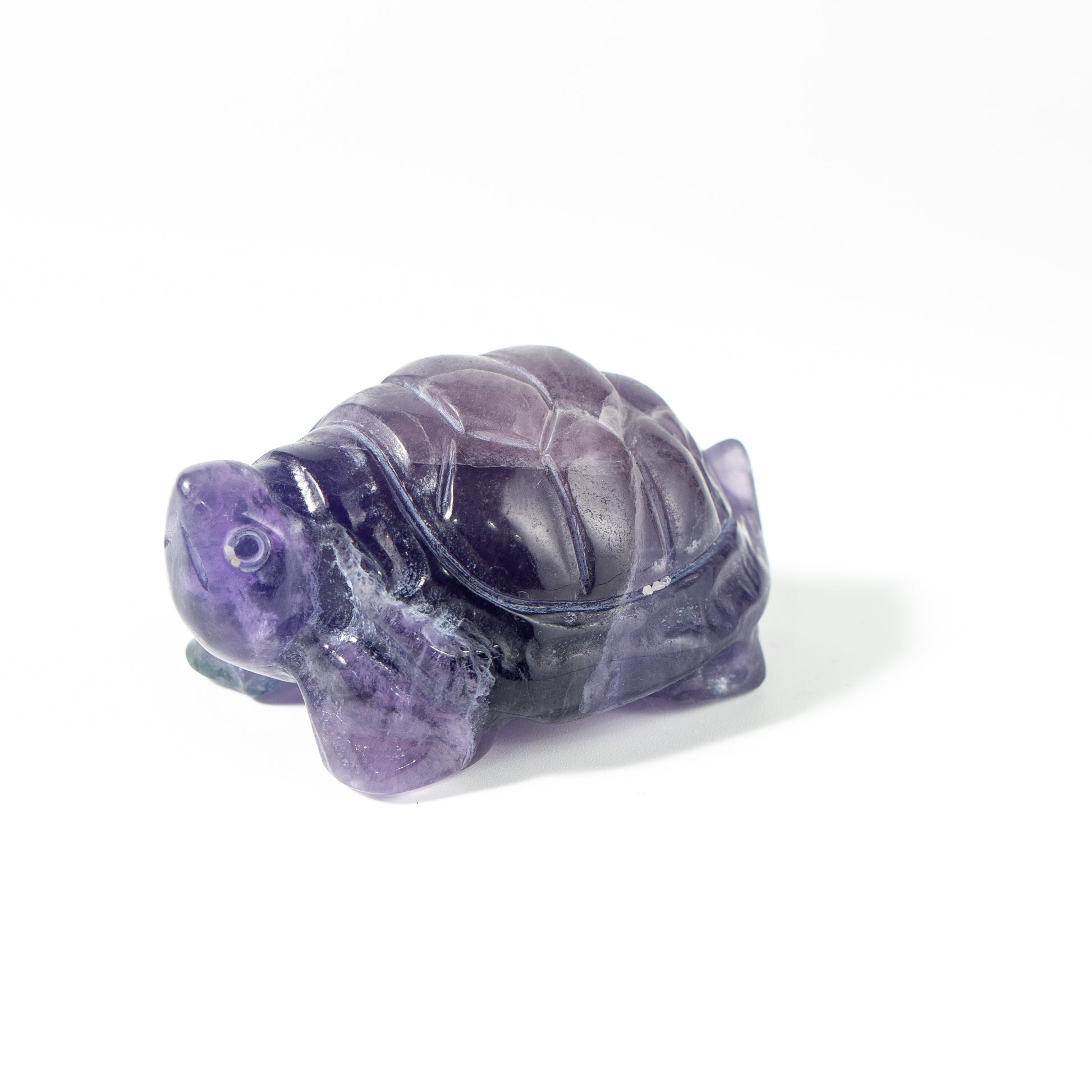 【Craving】- Amethyst Turtle