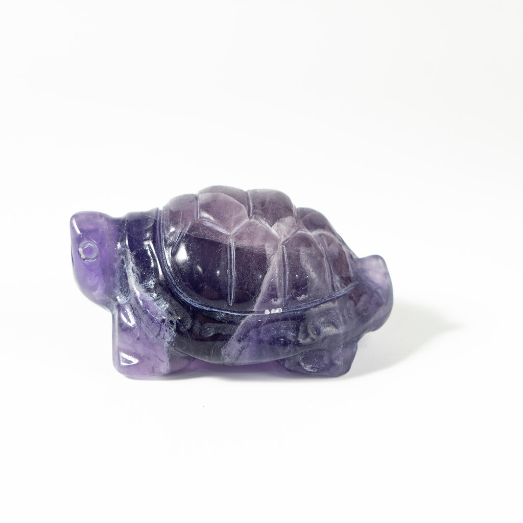【Craving】- Amethyst Turtle