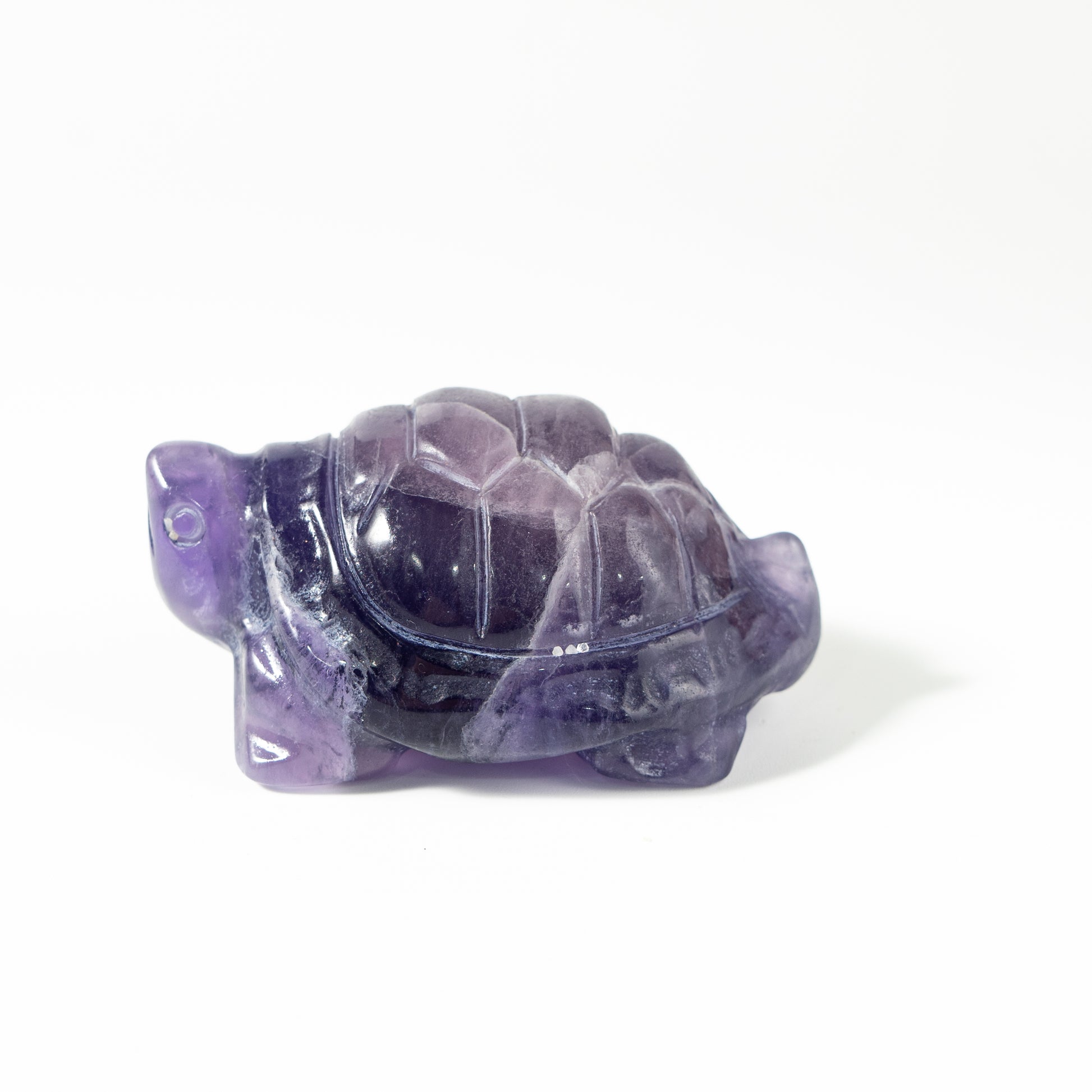【Craving】- Amethyst Turtle