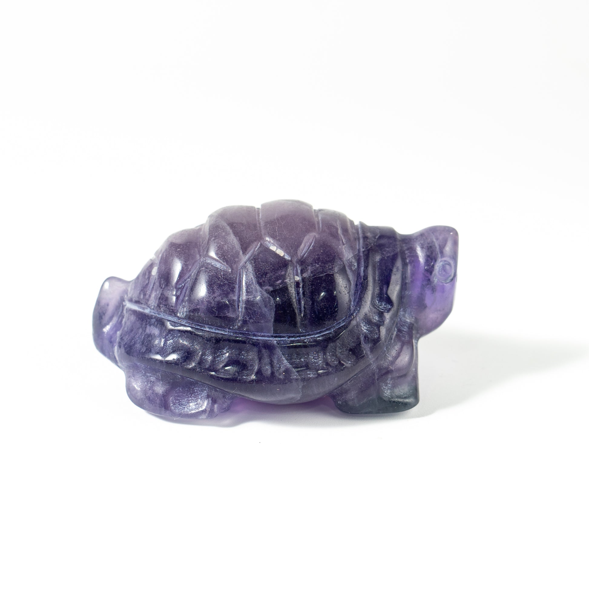 【Craving】- Amethyst Turtle