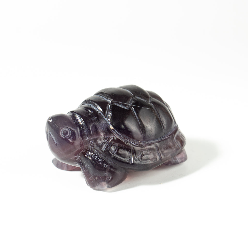 【Craving】- Amethyst Turtle