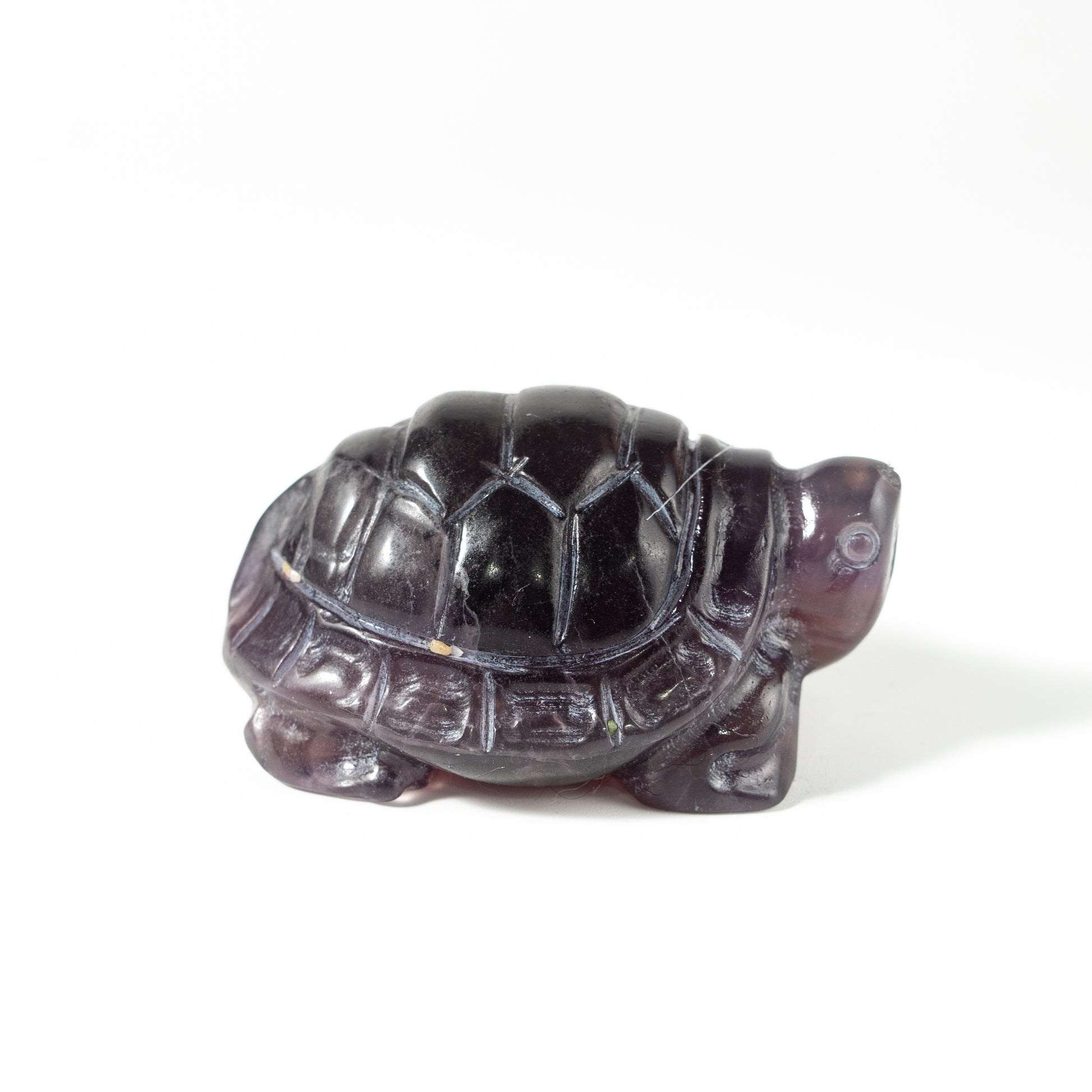 【Craving】- Amethyst Turtle
