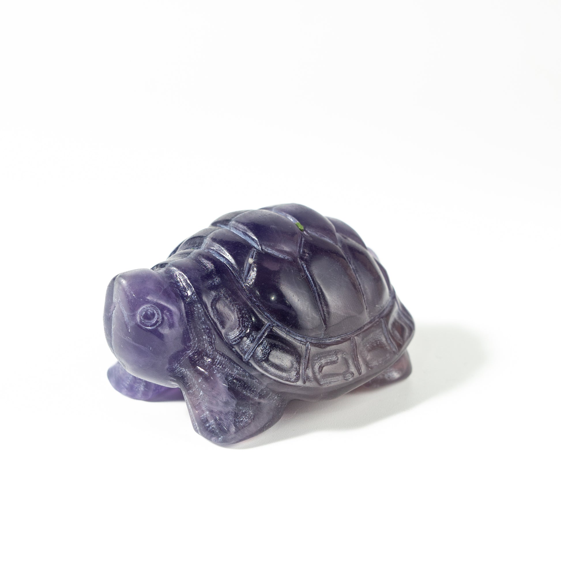 【Craving】- Amethyst Turtle