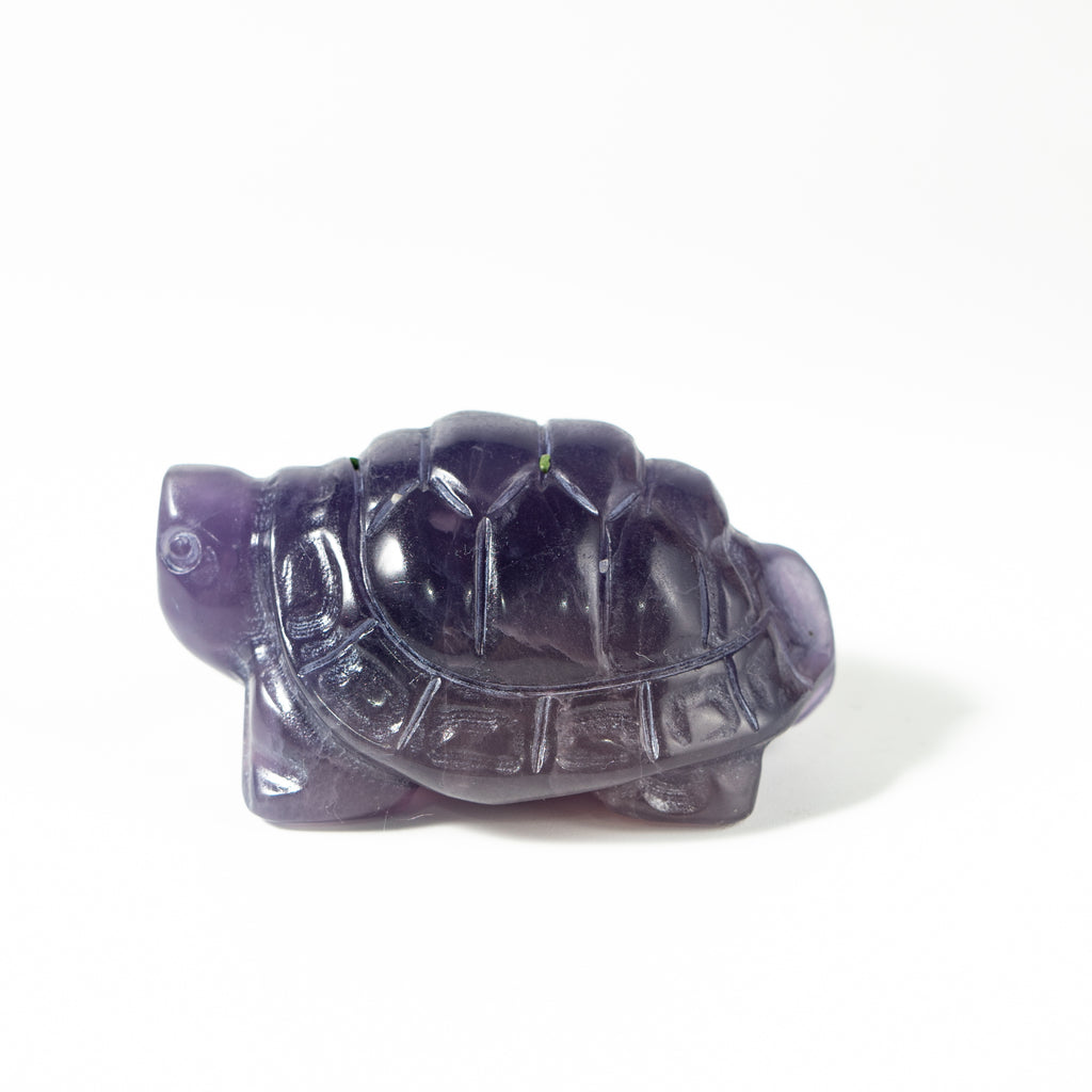 【Craving】- Amethyst Turtle