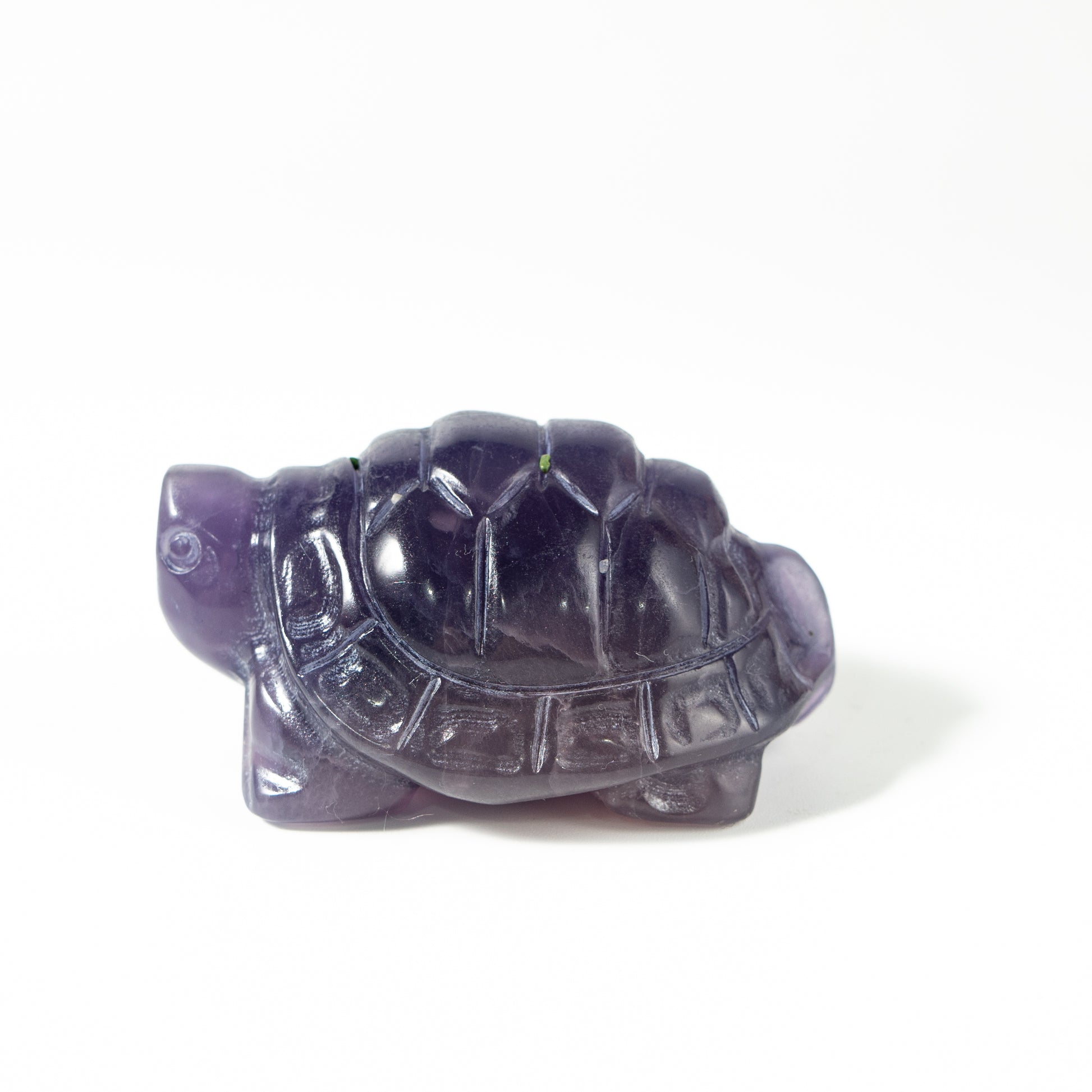 【Craving】- Amethyst Turtle