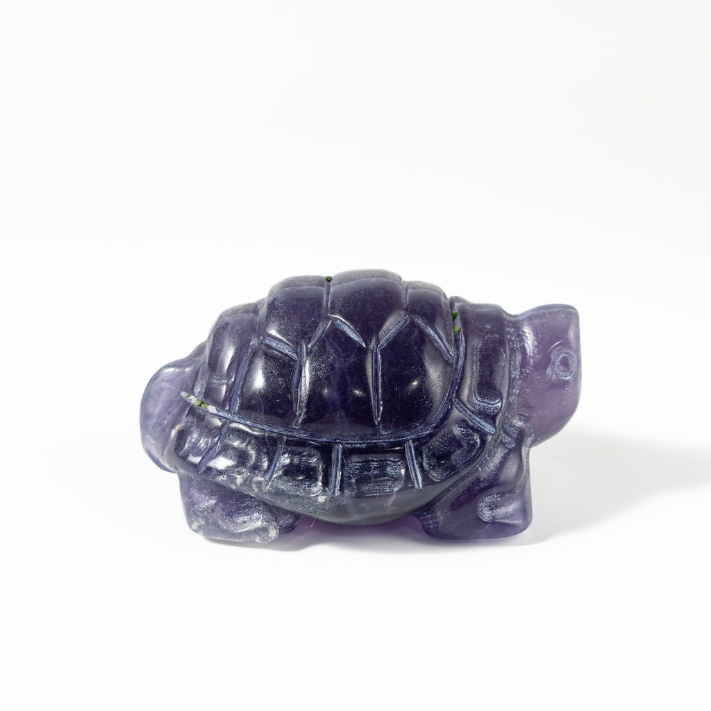 【Craving】- Amethyst Turtle