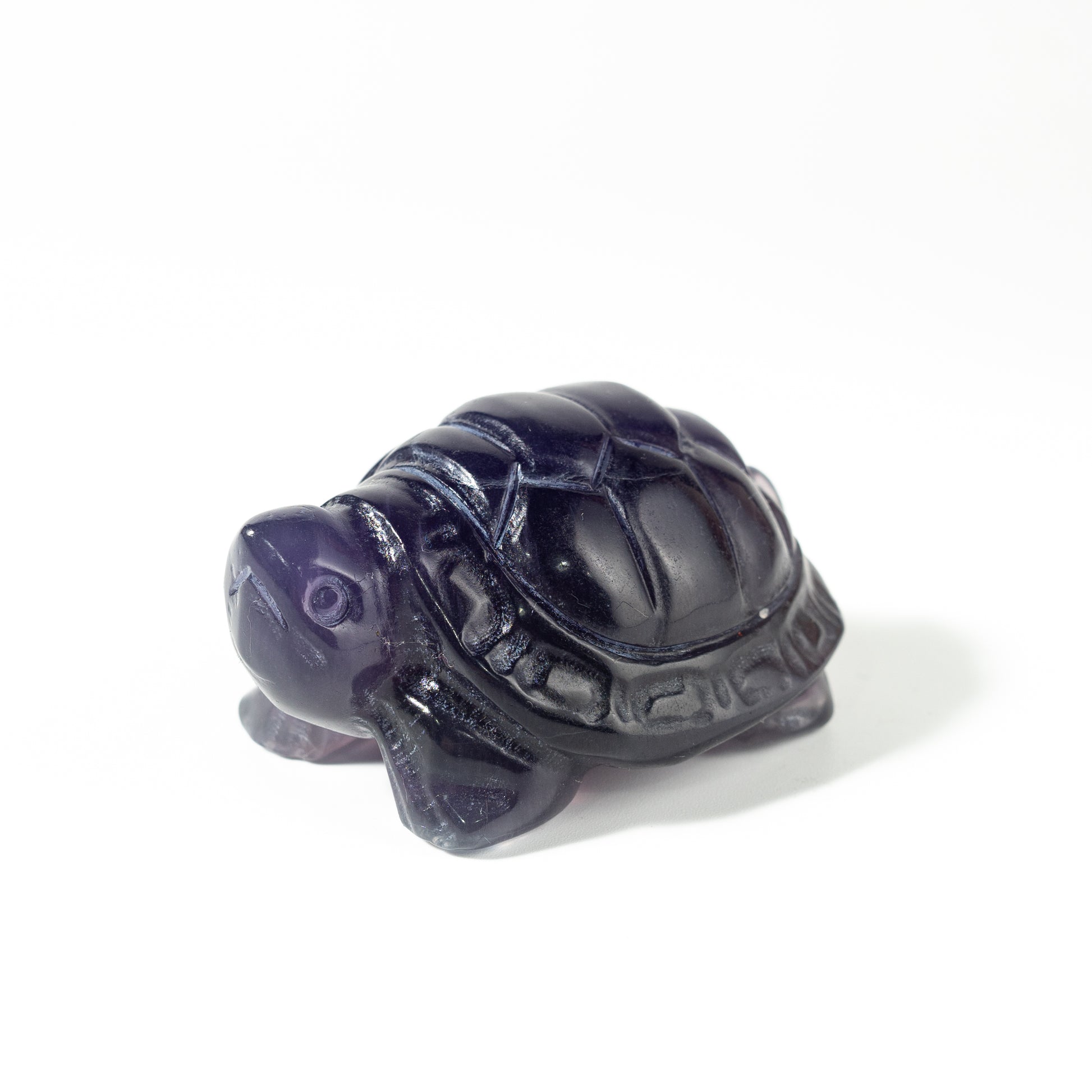 【Craving】- Amethyst Turtle