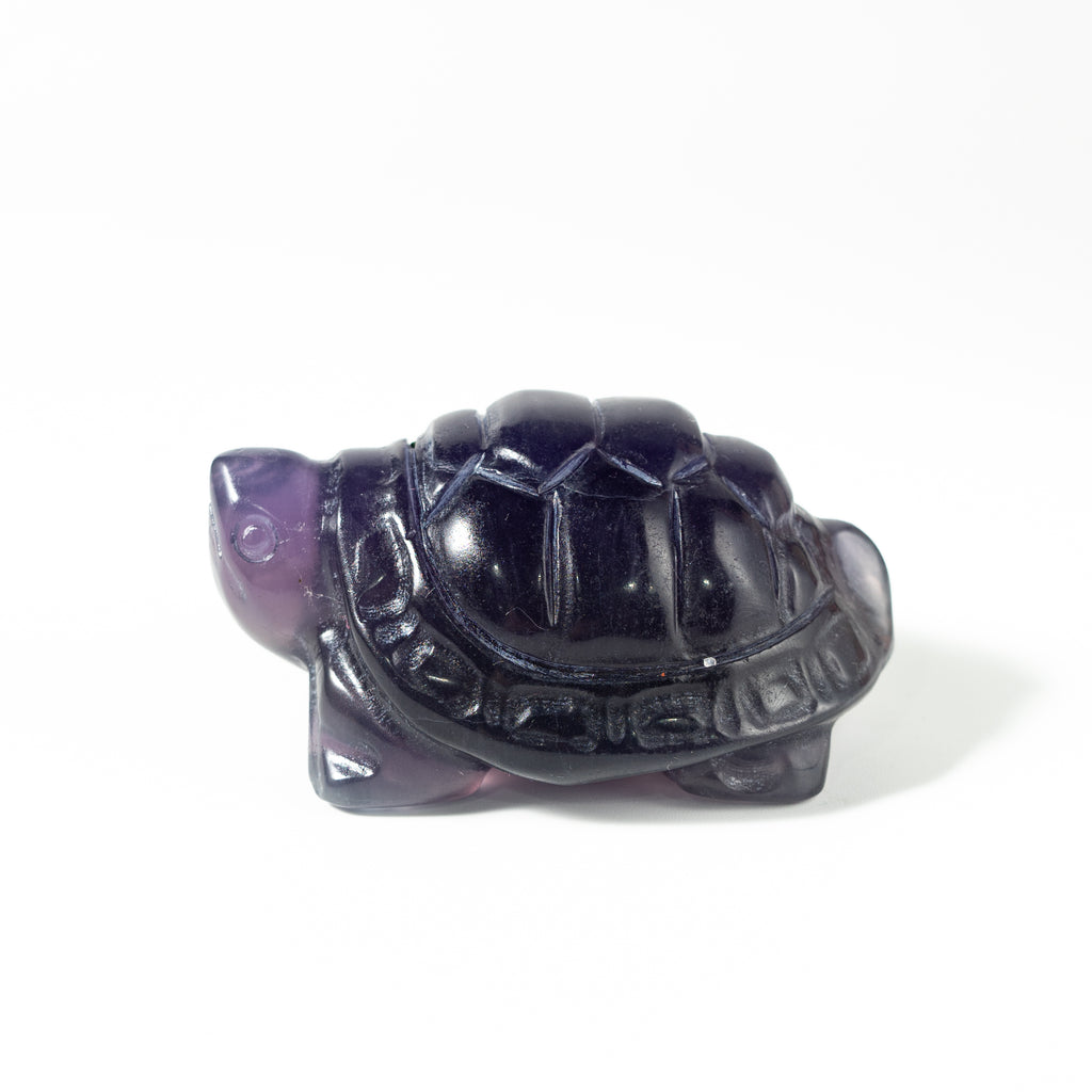 【Craving】- Amethyst Turtle