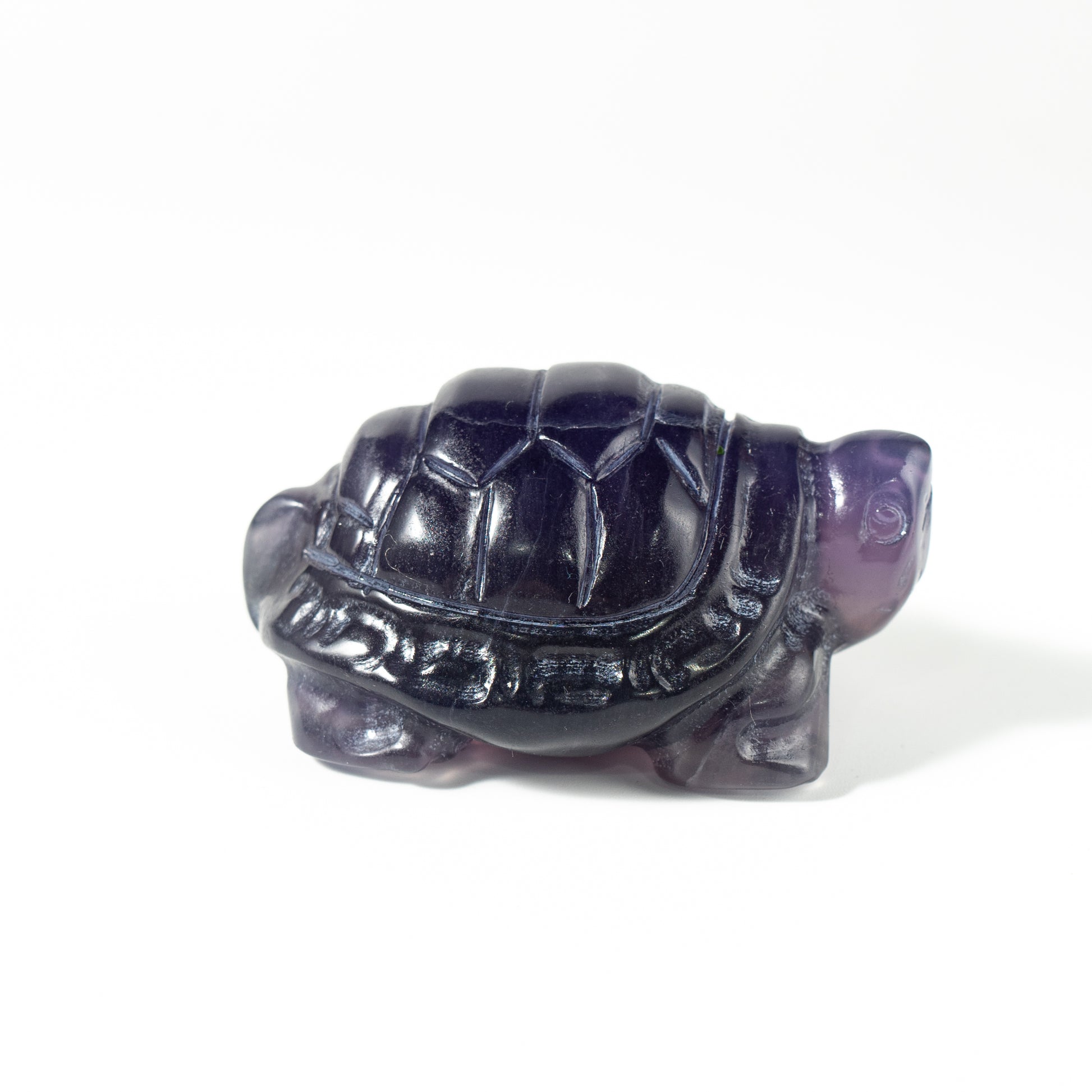 【Craving】- Amethyst Turtle