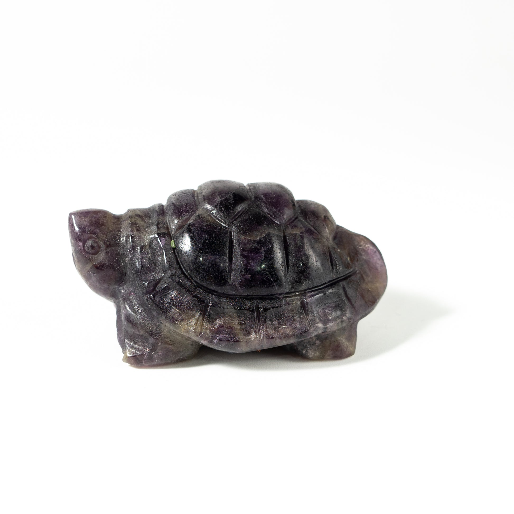 【Craving】- Amethyst Turtle