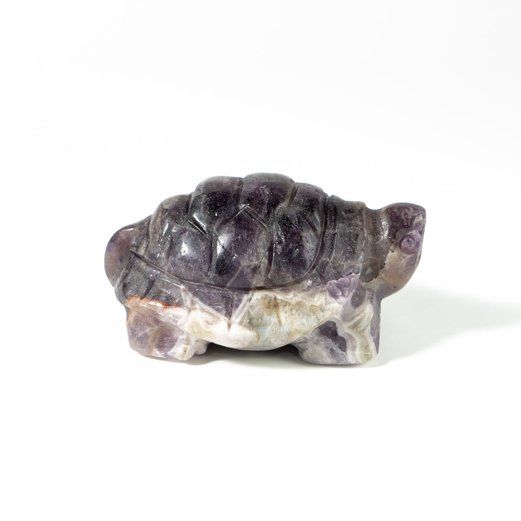 【Craving】- Amethyst Turtle