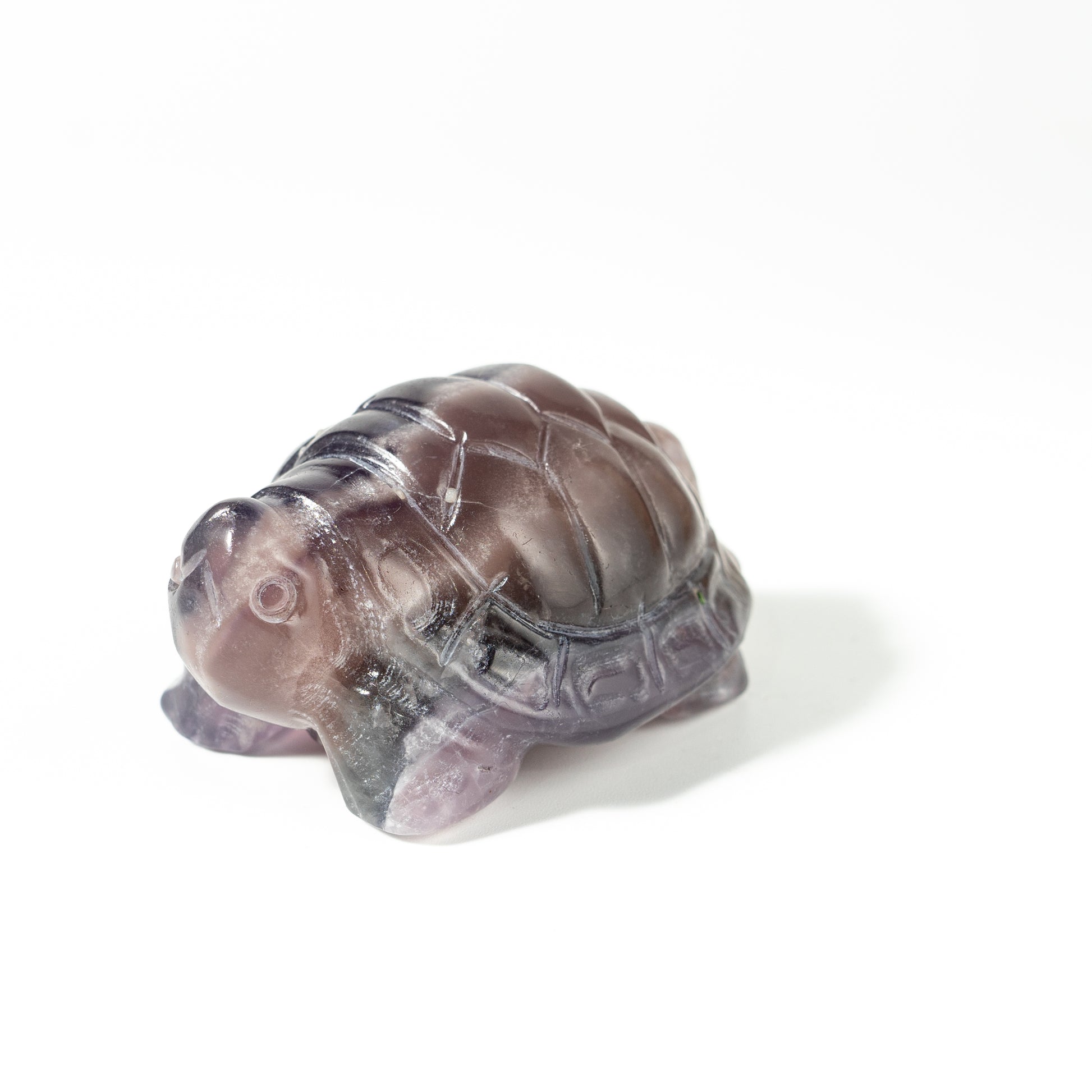 【Craving】- Amethyst Turtle