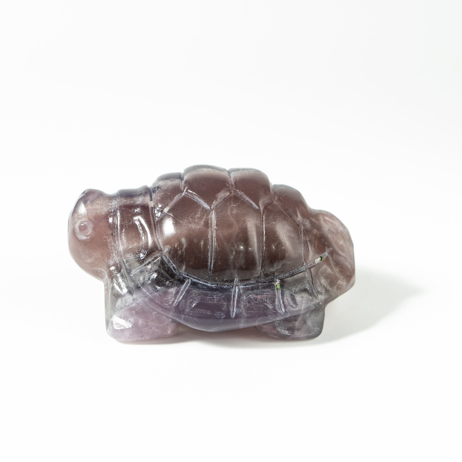 【Craving】- Amethyst Turtle