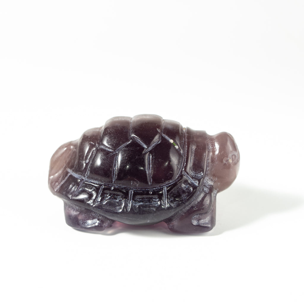 【Craving】- Amethyst Turtle