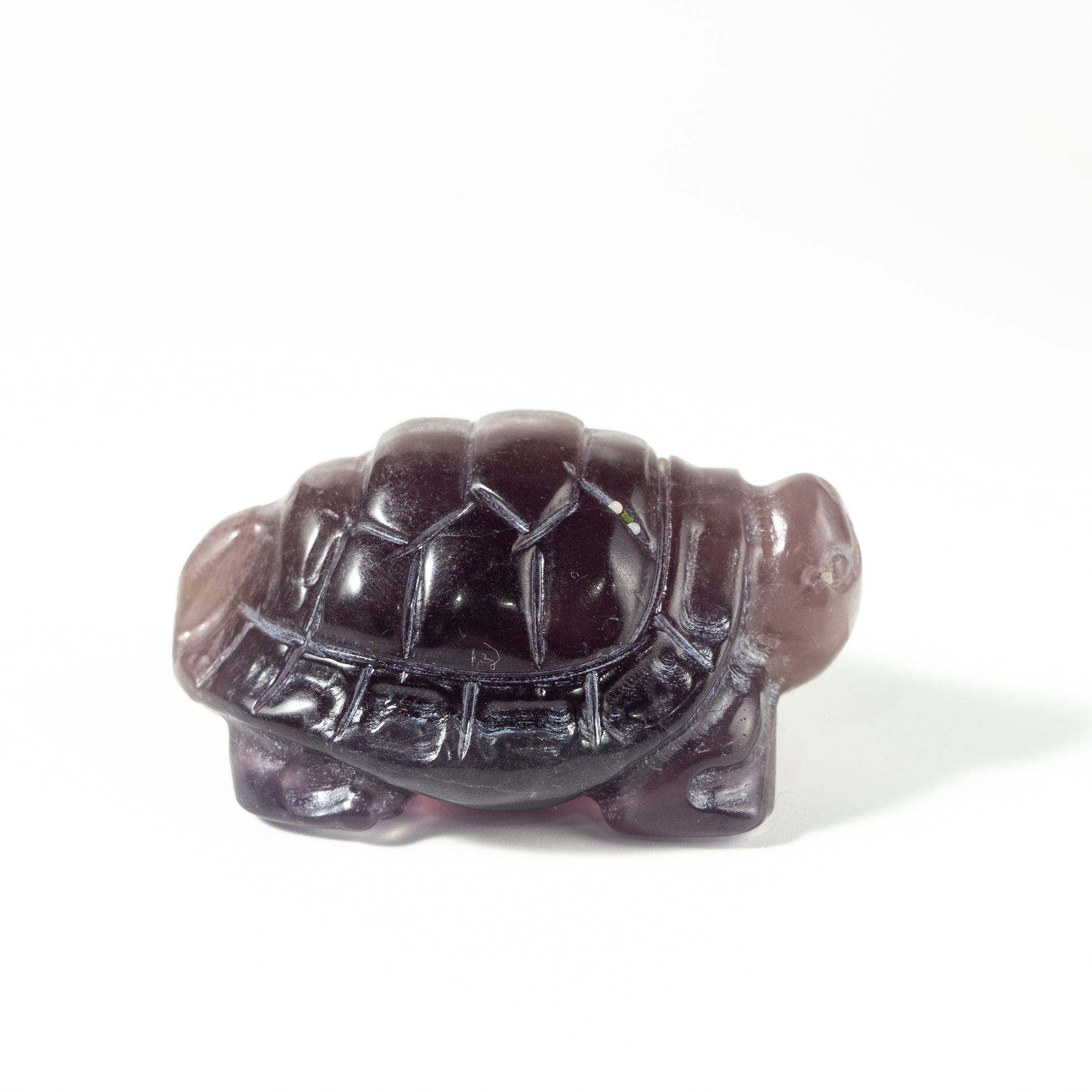 【Craving】- Amethyst Turtle