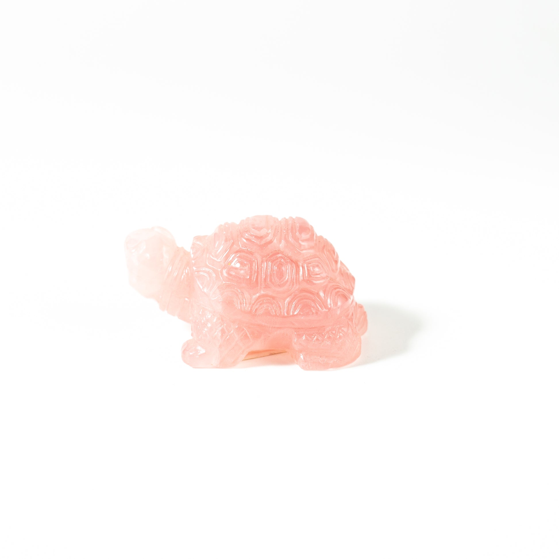 【Craving】- Rose Quartz Turtle