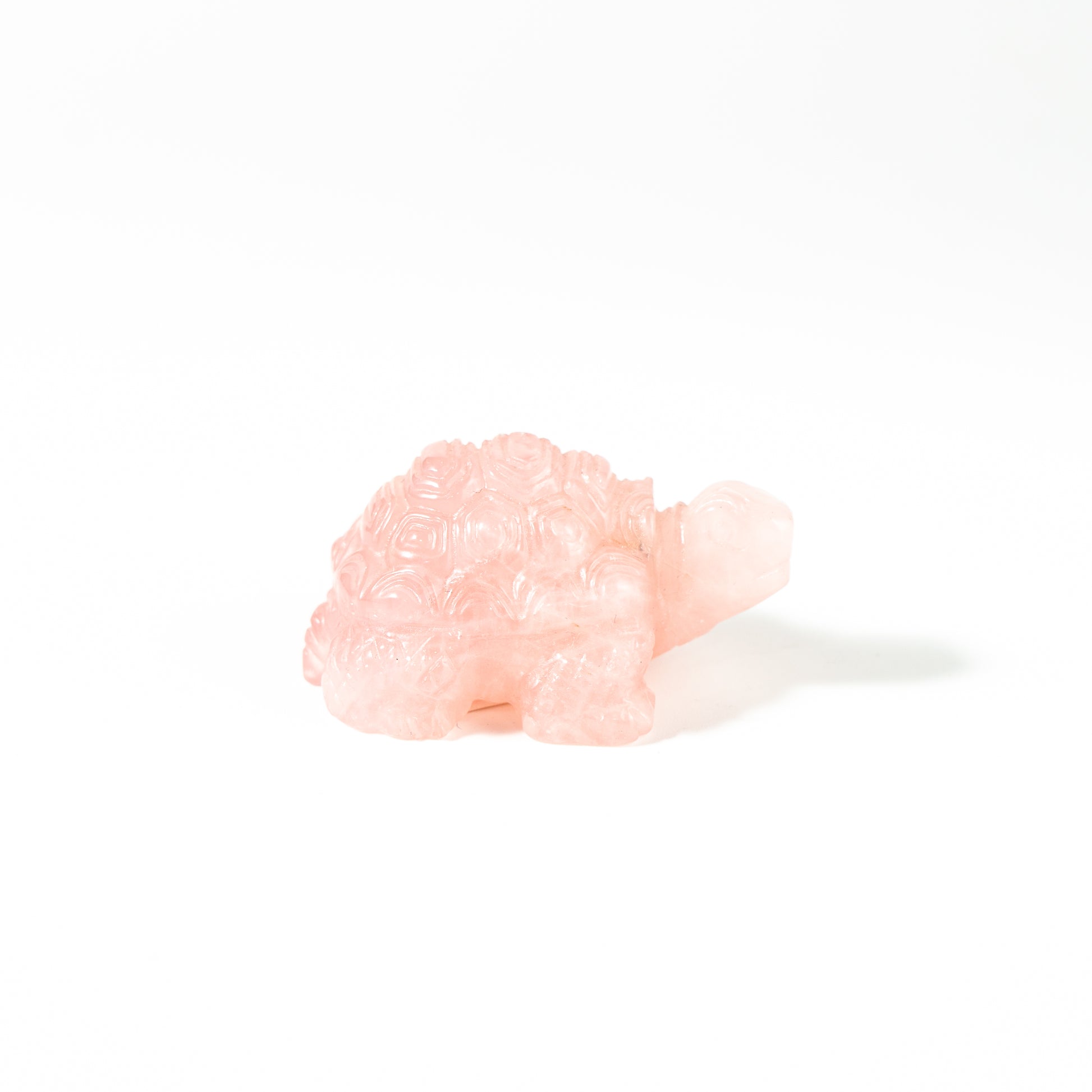 【Craving】- Rose Quartz Turtle