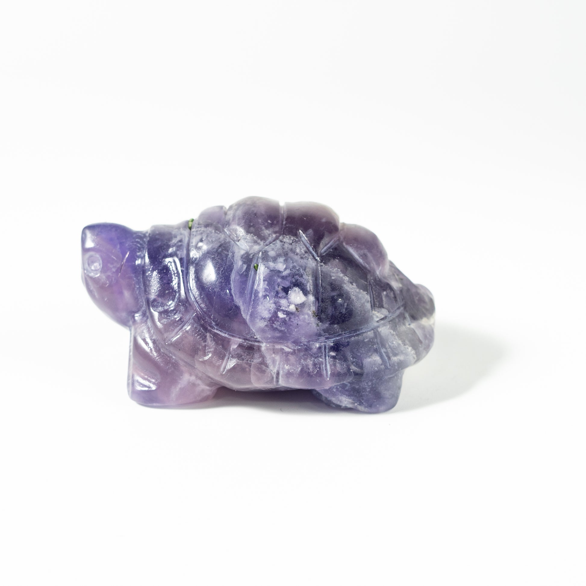 【Craving】- Amethyst Turtle