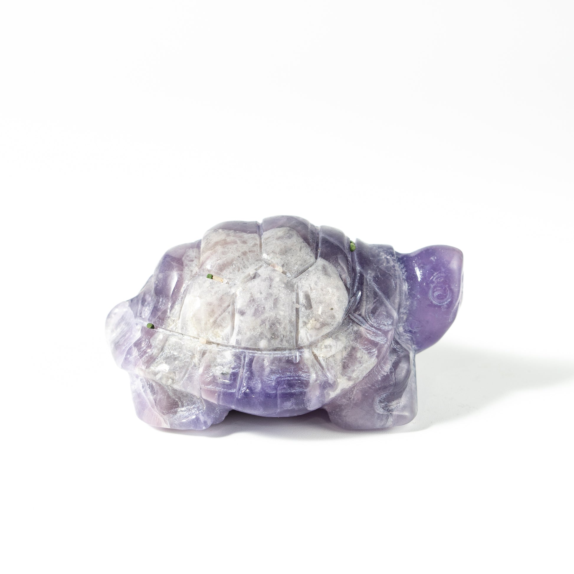 【Craving】- Amethyst Turtle