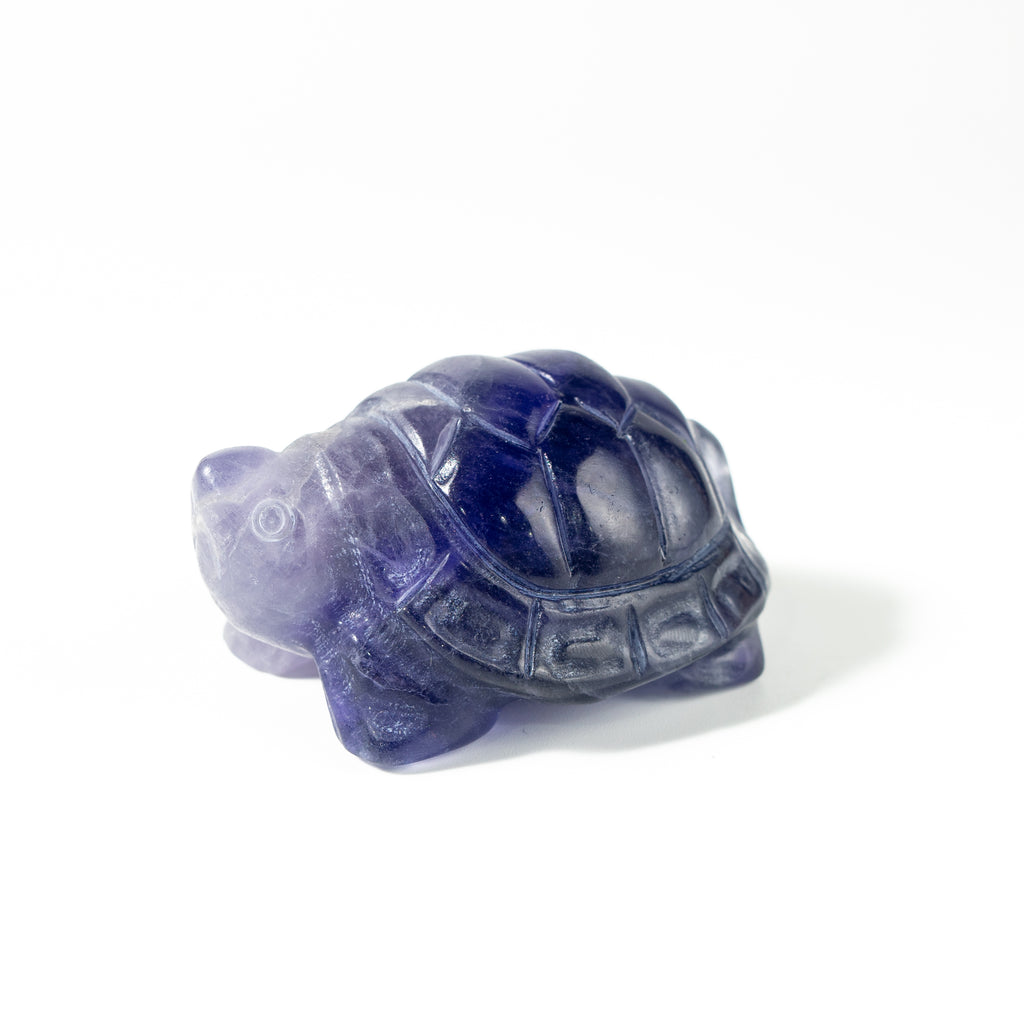 【Craving】- Amethyst Turtle