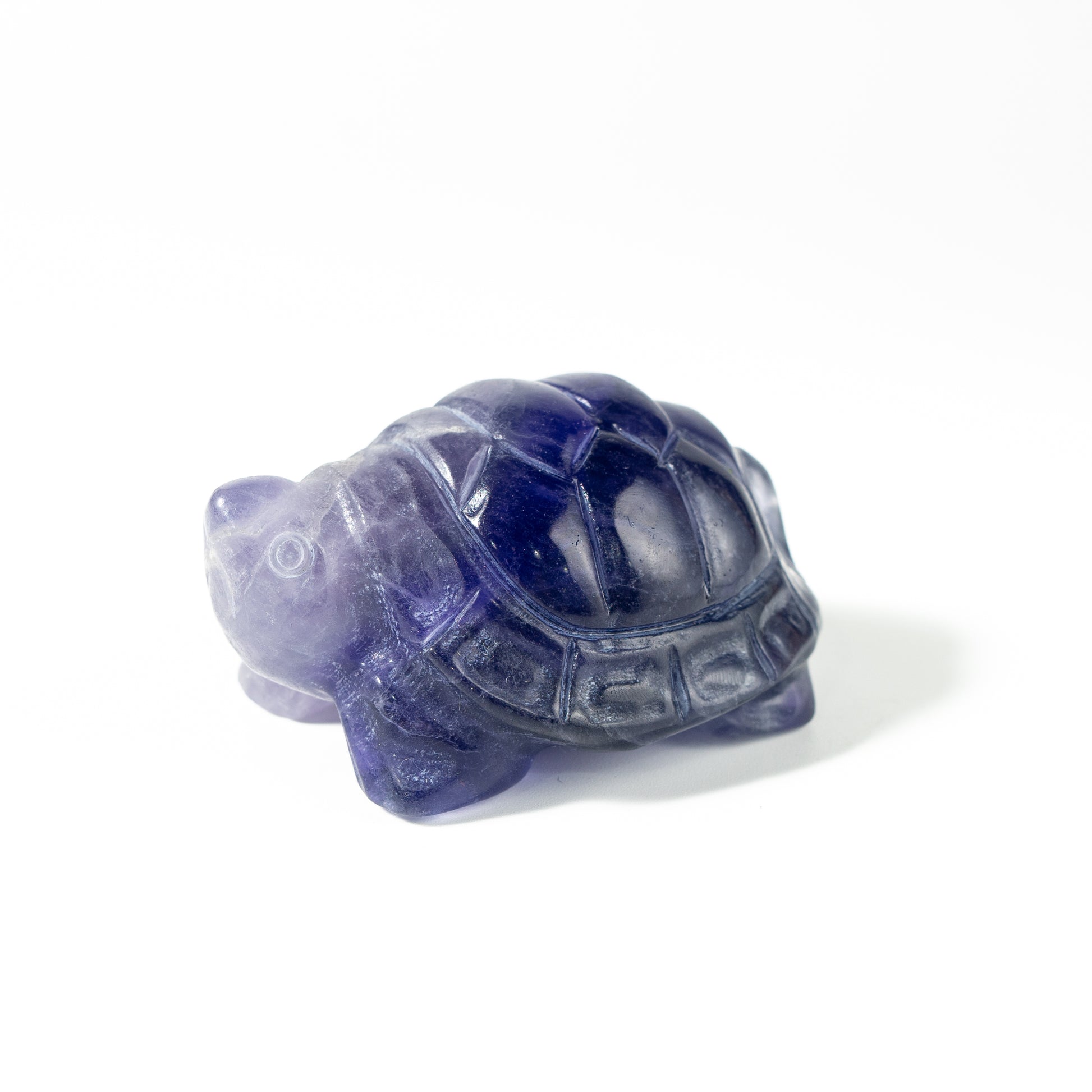 【Craving】- Amethyst Turtle
