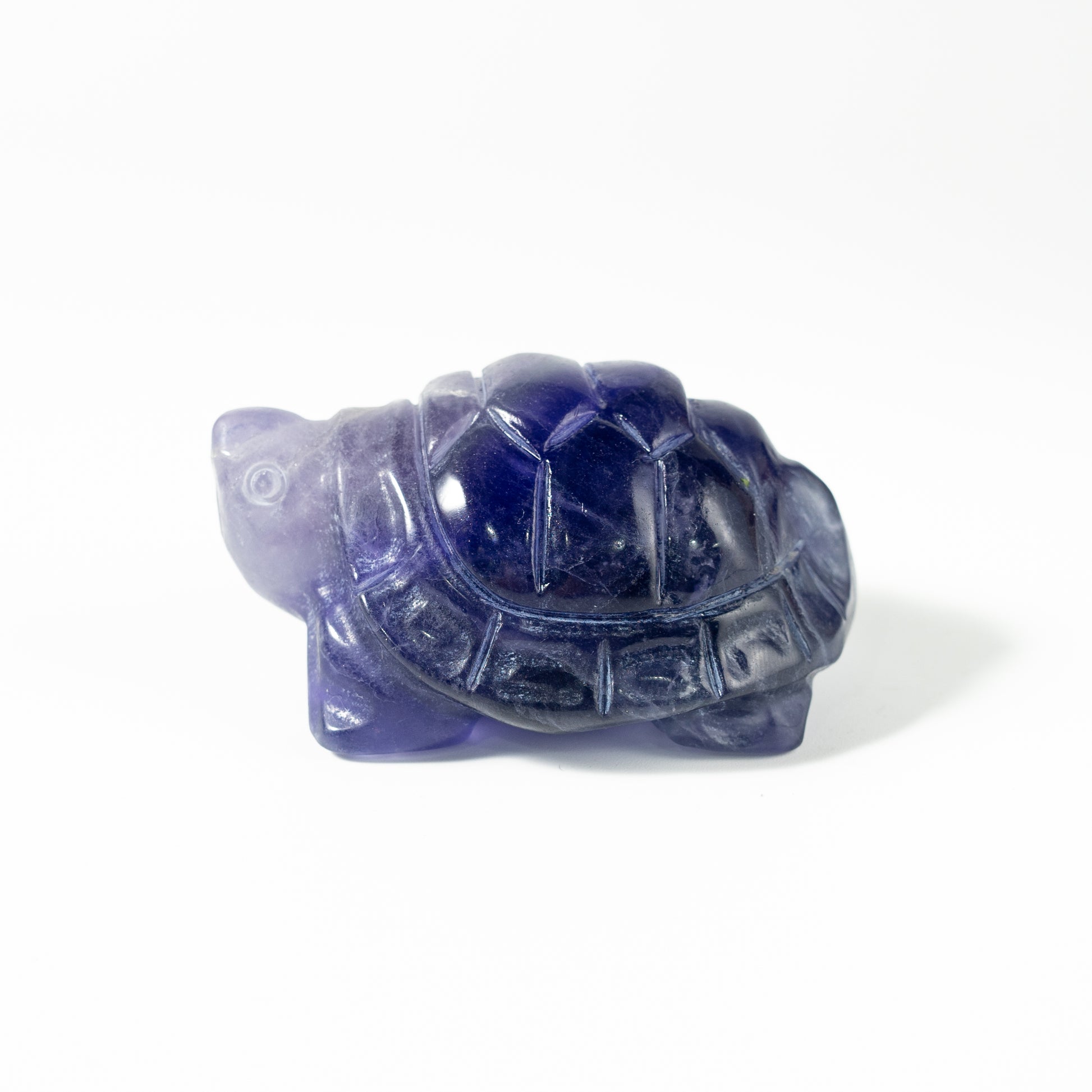 【Craving】- Amethyst Turtle