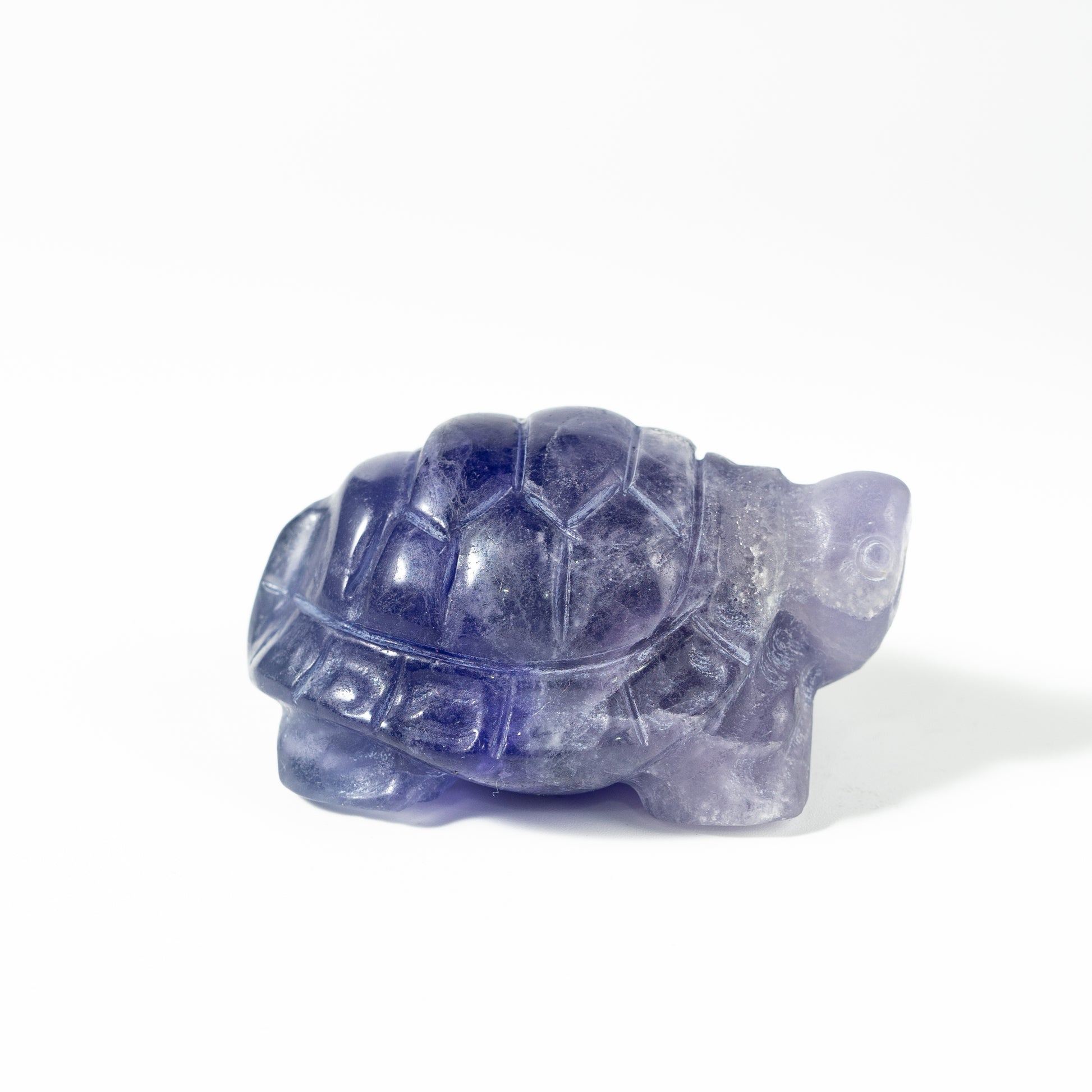 【Craving】- Amethyst Turtle