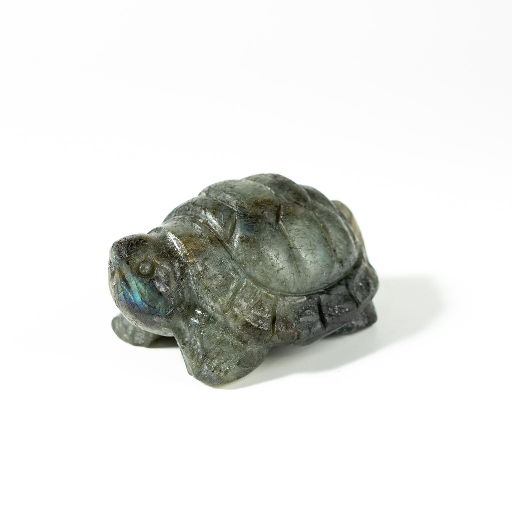 【Craving】- Labradorite Turtle