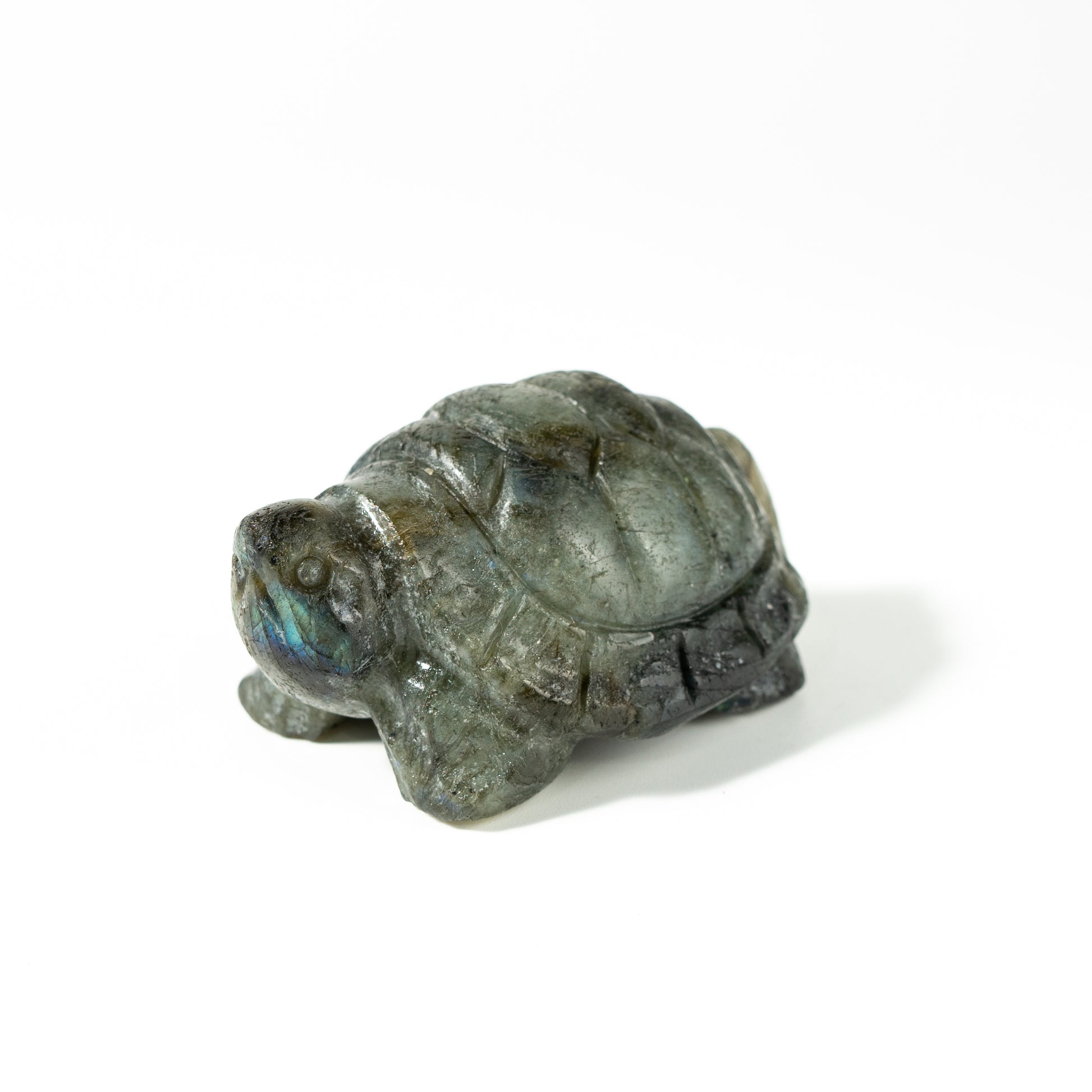 【Craving】- Labradorite Turtle