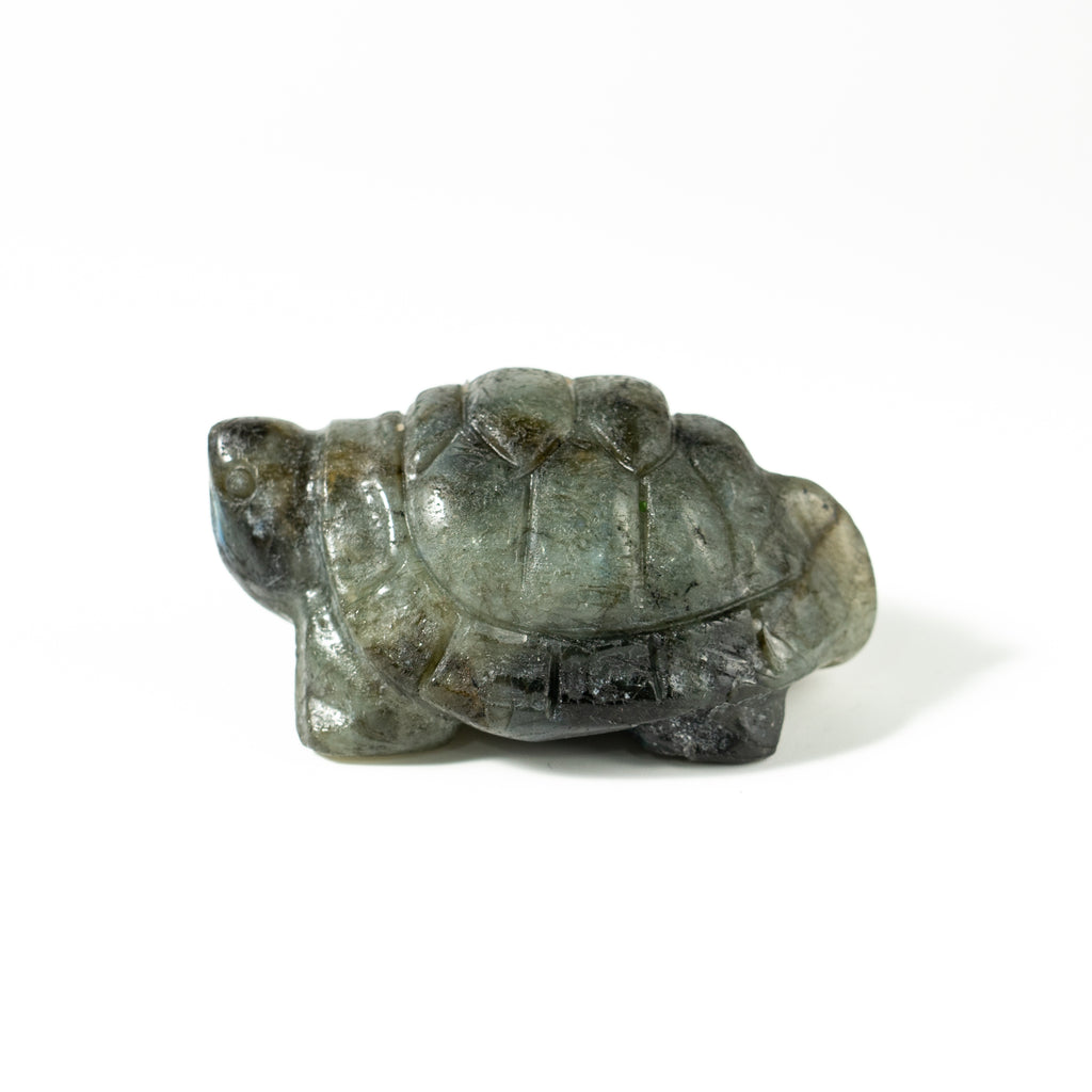 【Craving】- Labradorite Turtle