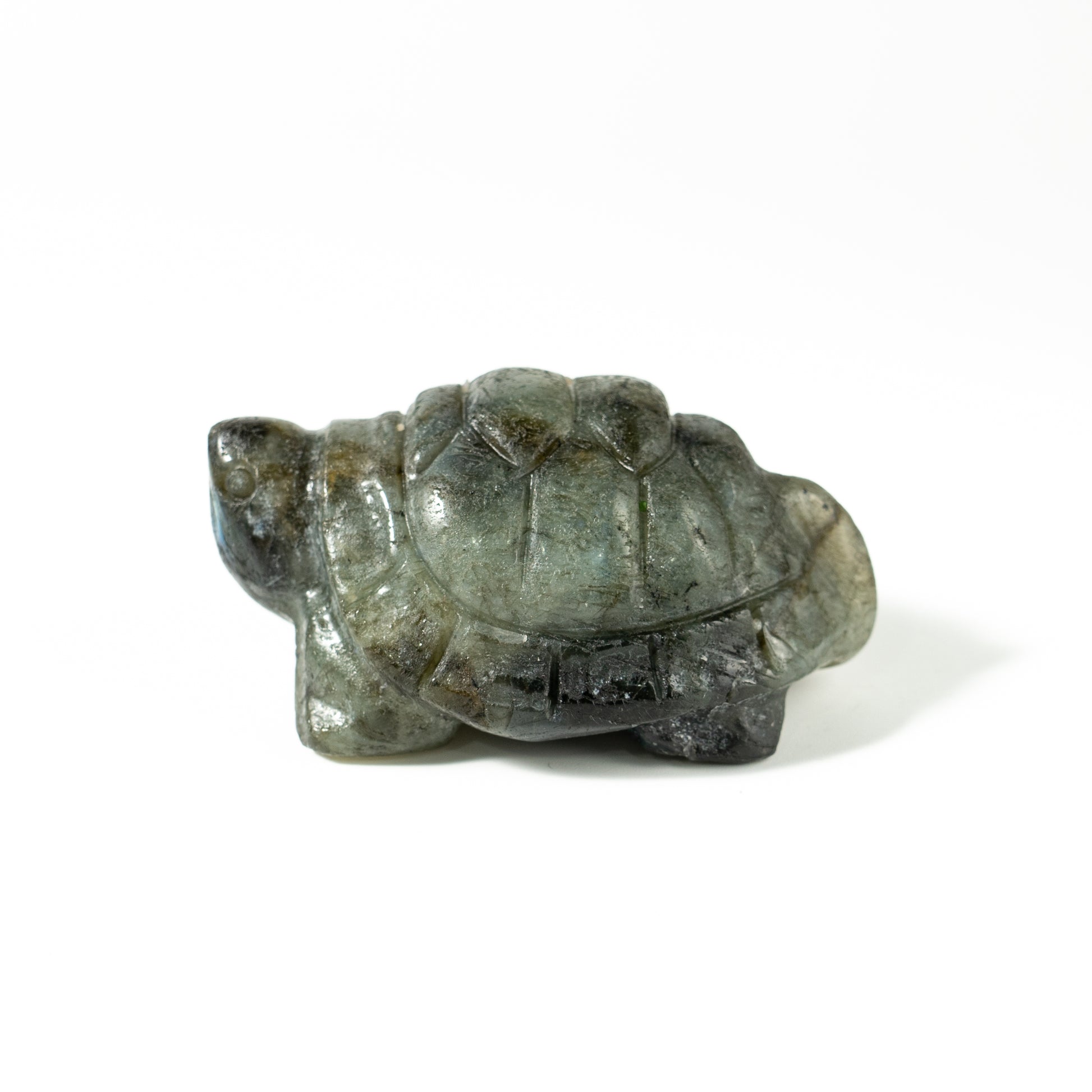 【Craving】- Labradorite Turtle