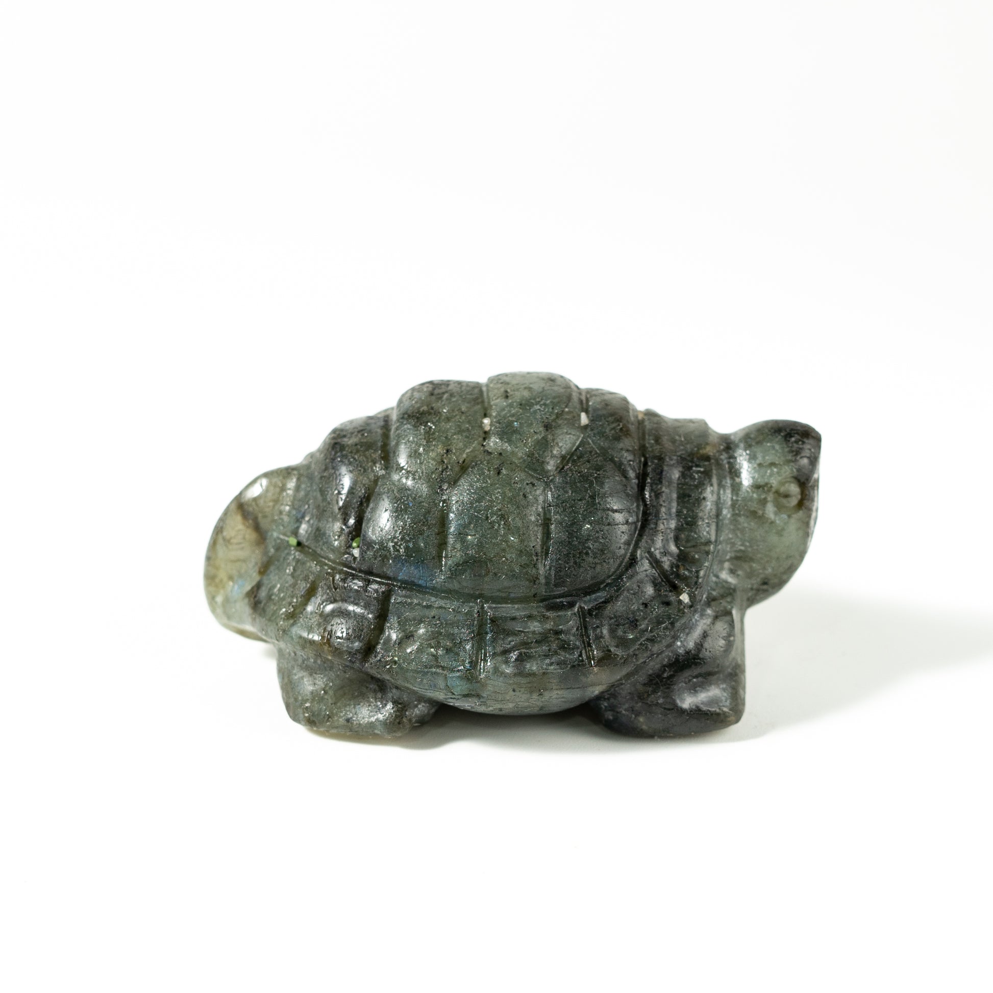 【Craving】- Labradorite Turtle