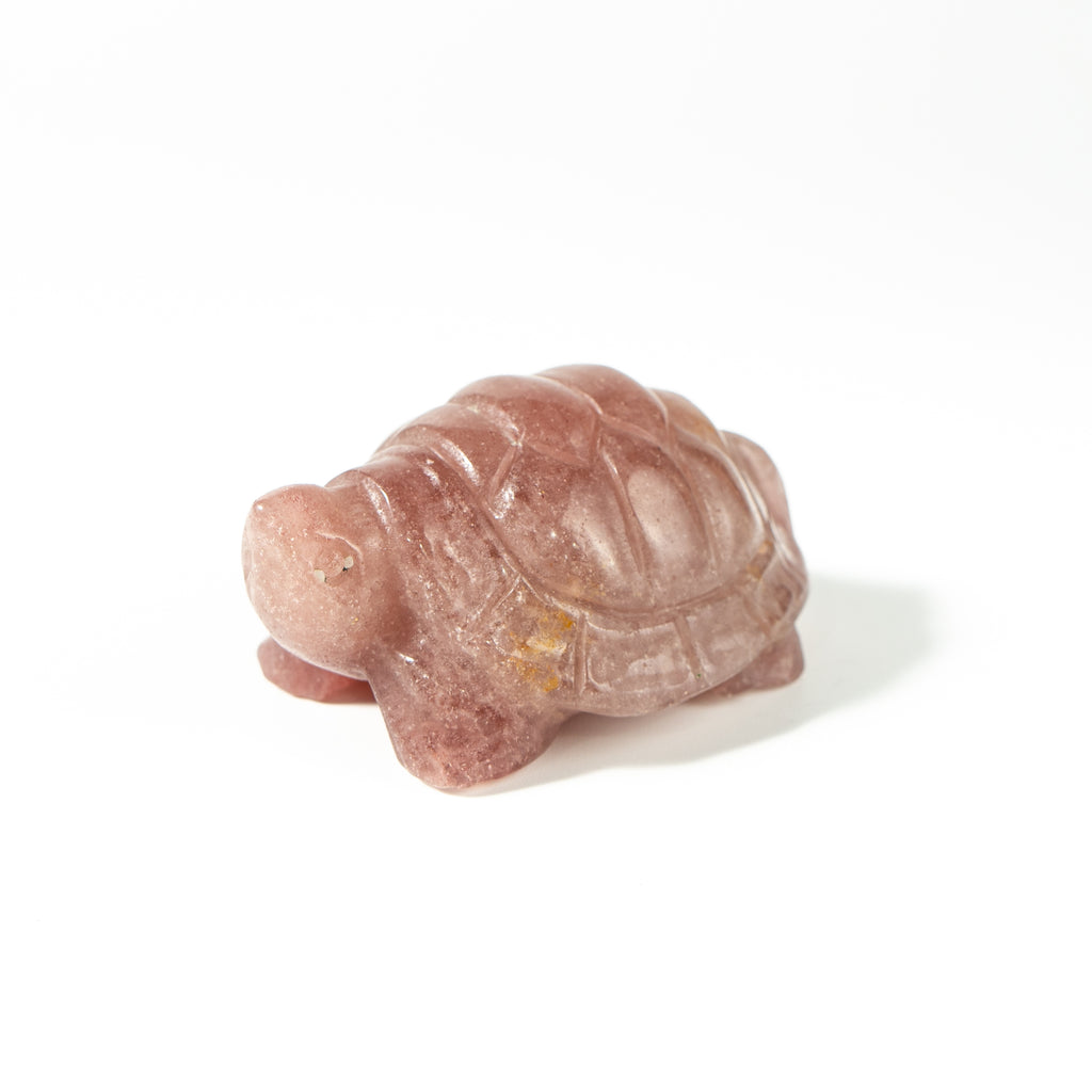 【Craving】- Strawberry Turtle