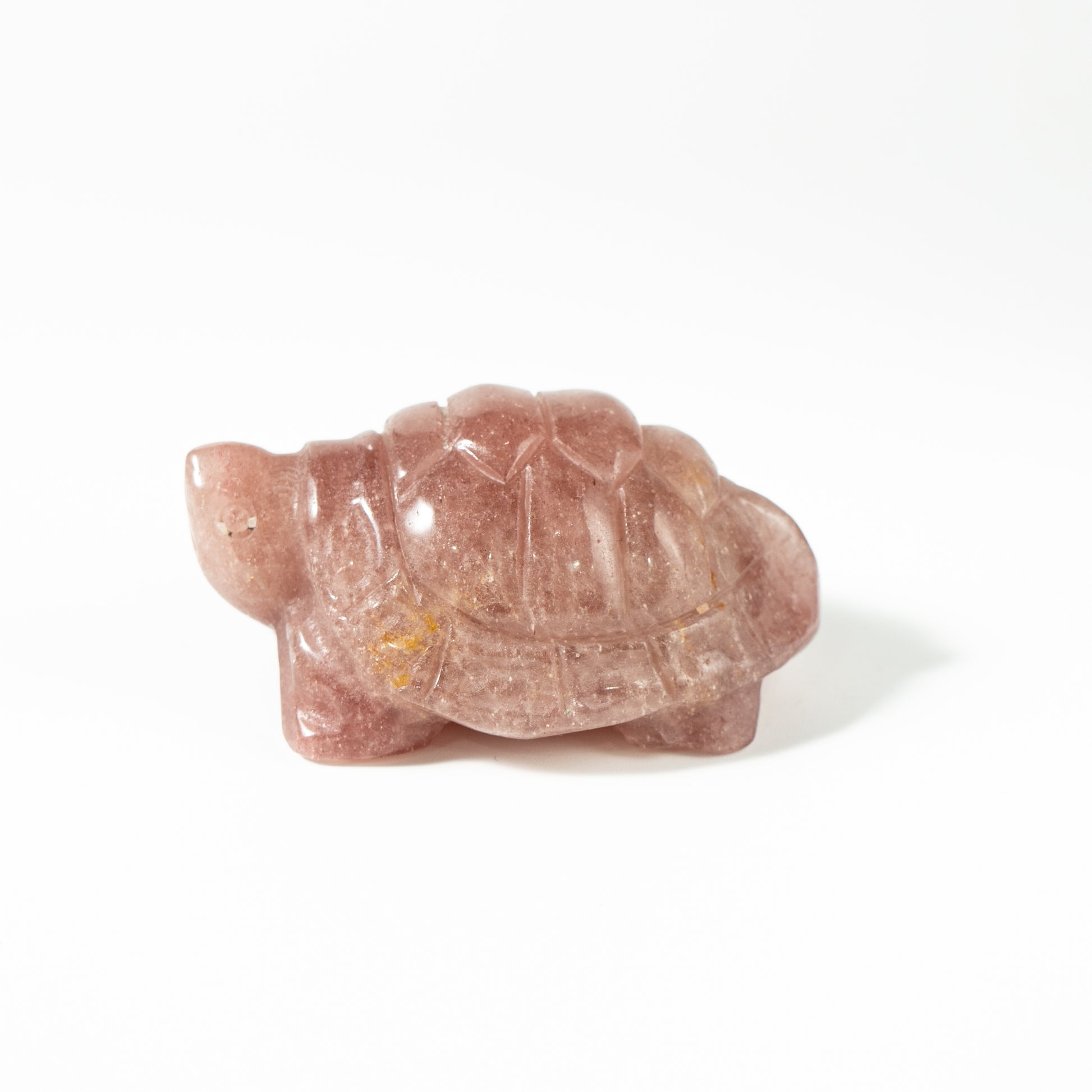 【Craving】- Strawberry Turtle