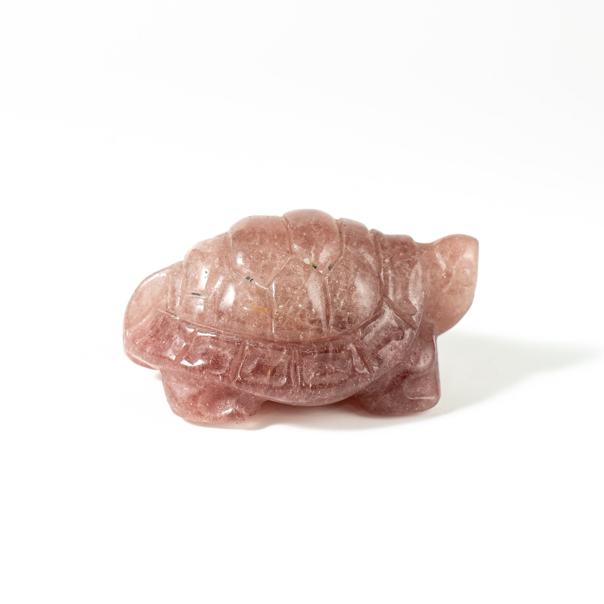【Craving】- Strawberry Turtle