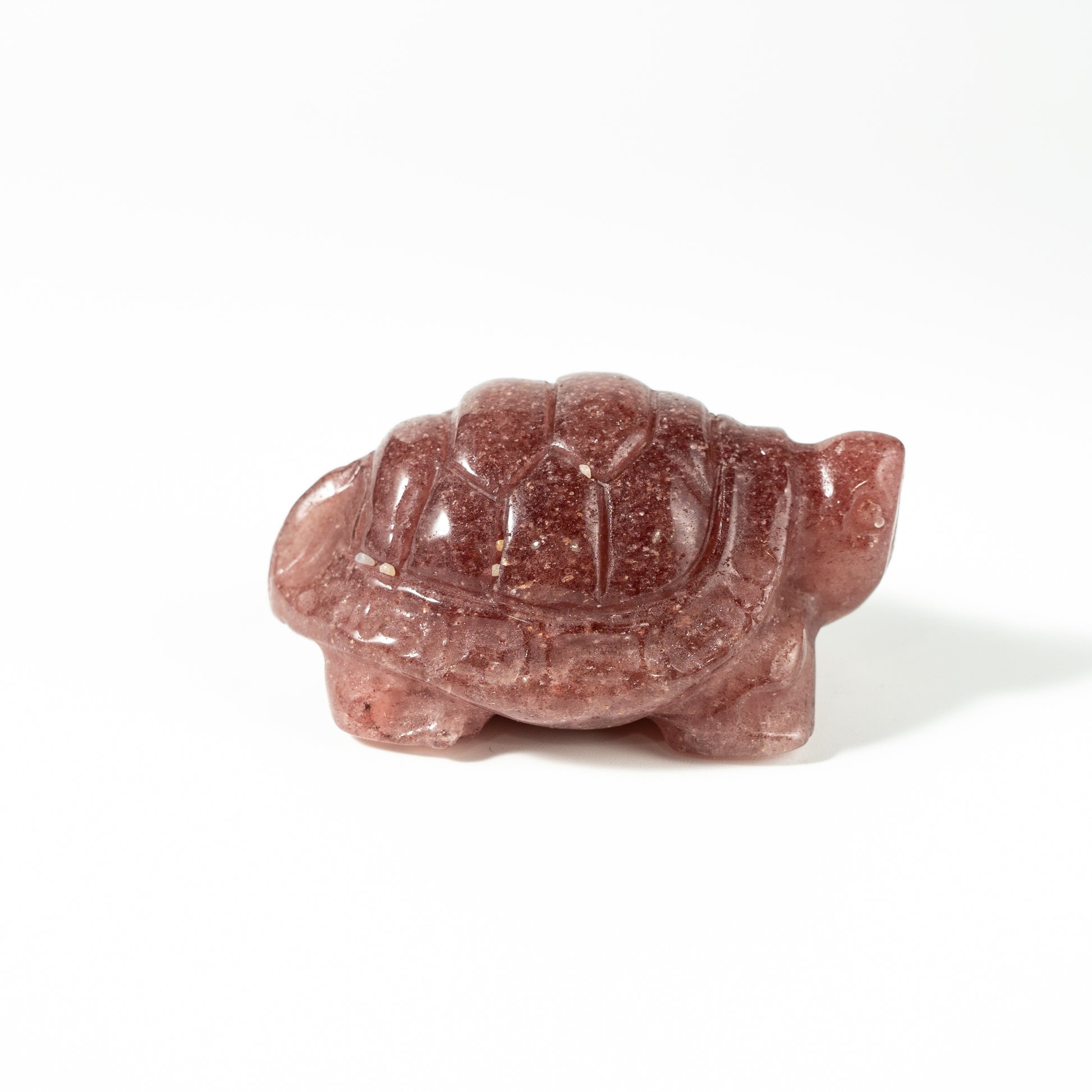 【Craving】- Strawberry Turtle